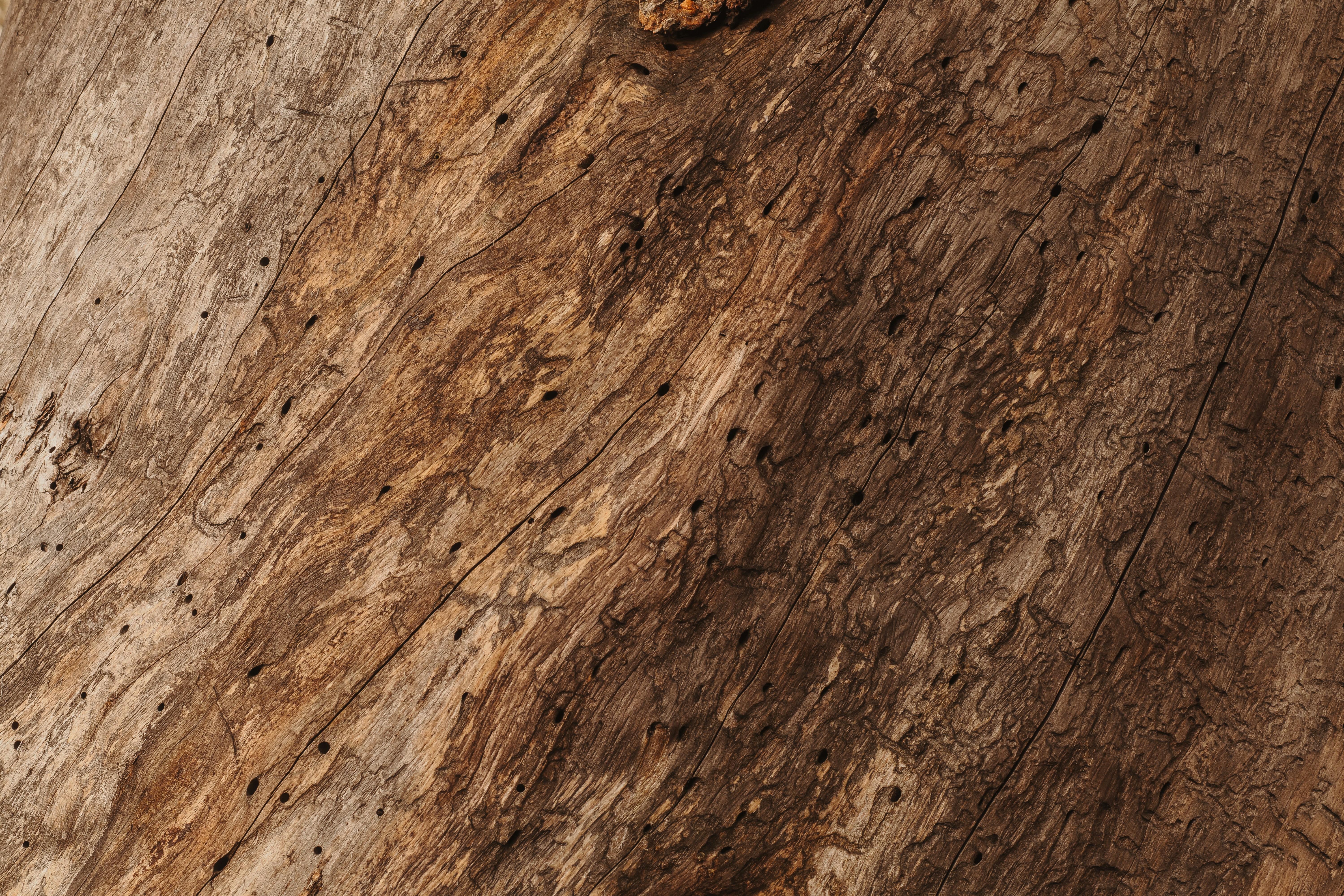 Photo by dreydenwilde