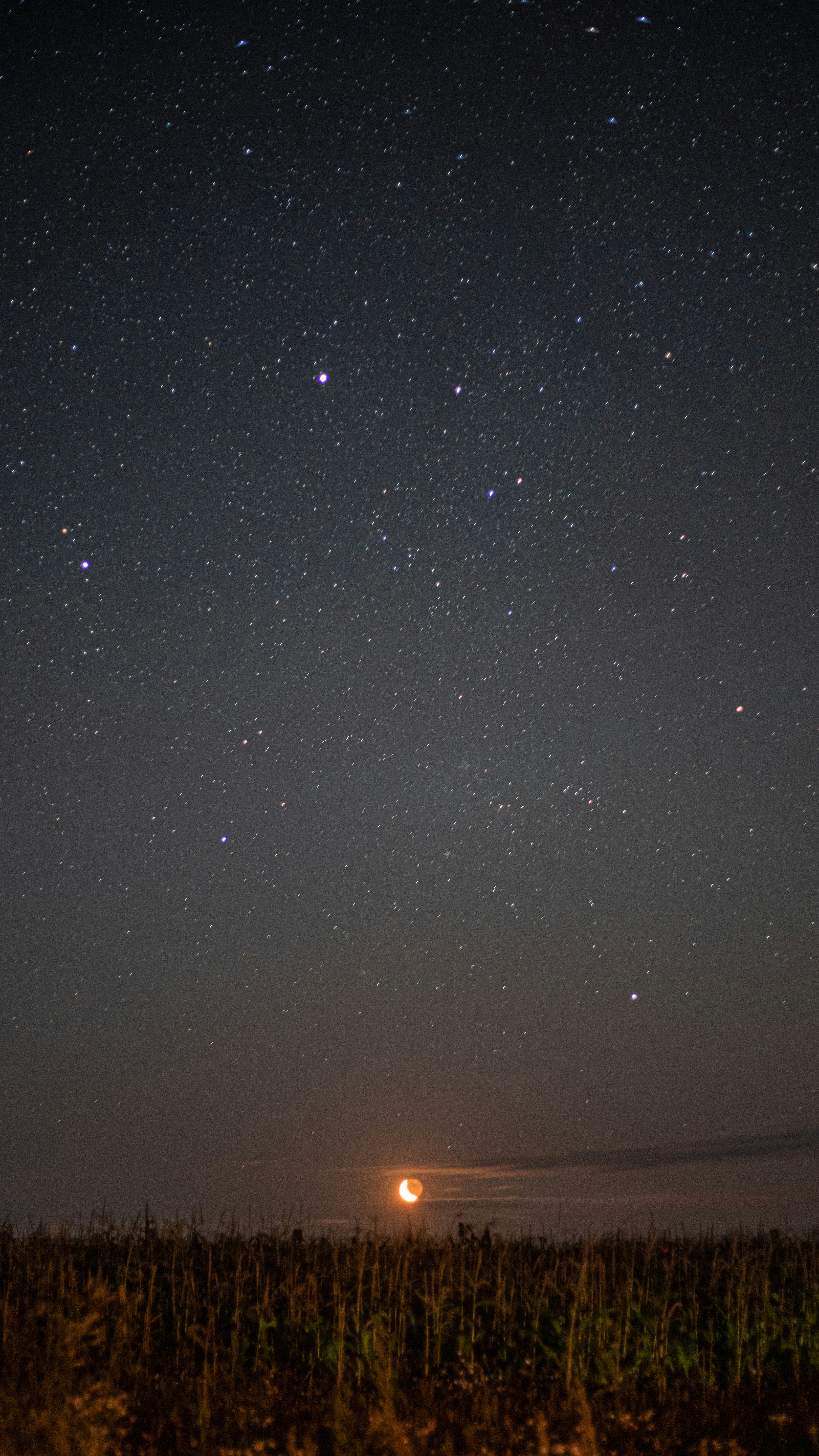 Photo by art_almighty