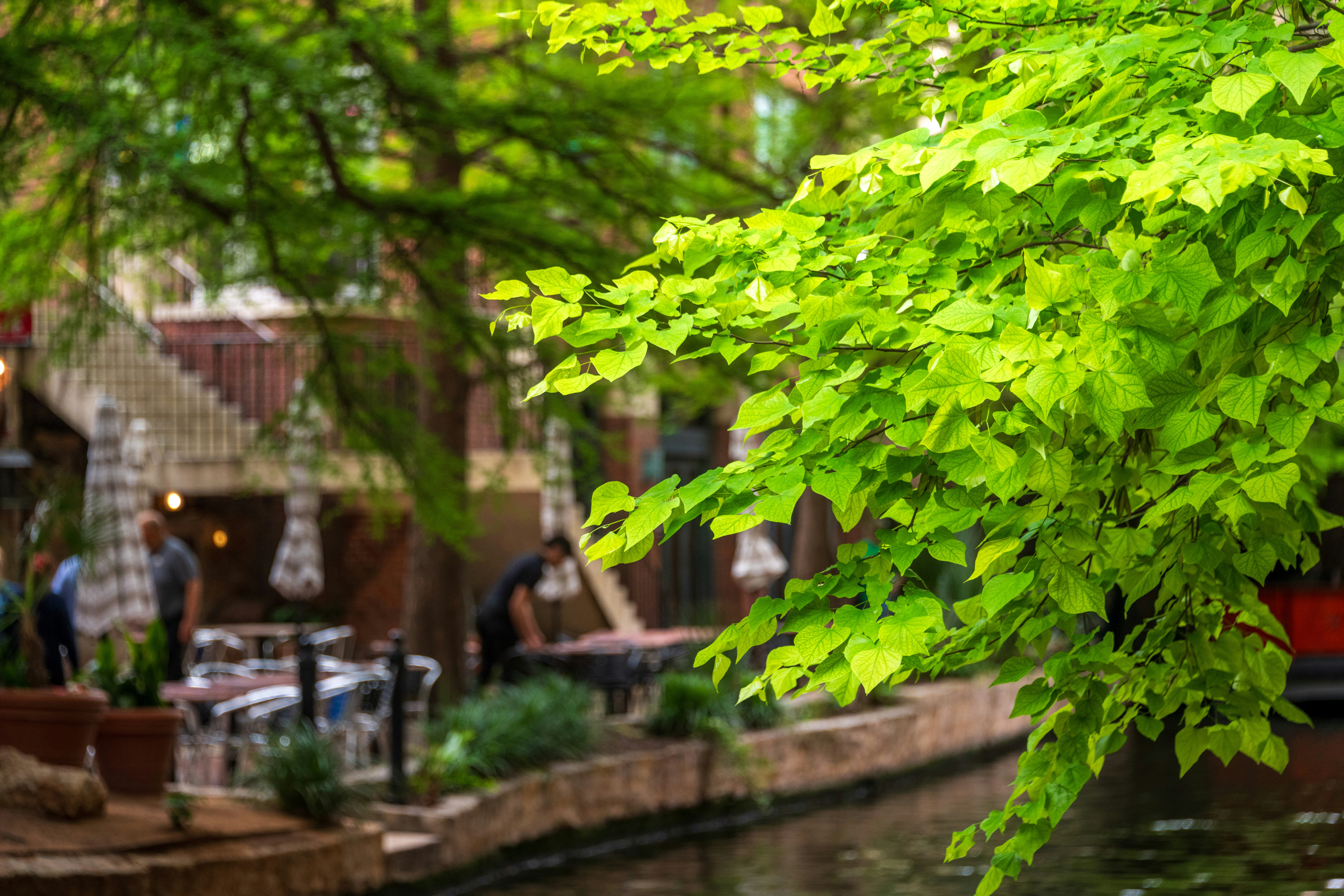 Affordable vacation destinations in the USA San Antonio River Walk Photo from Unsplash