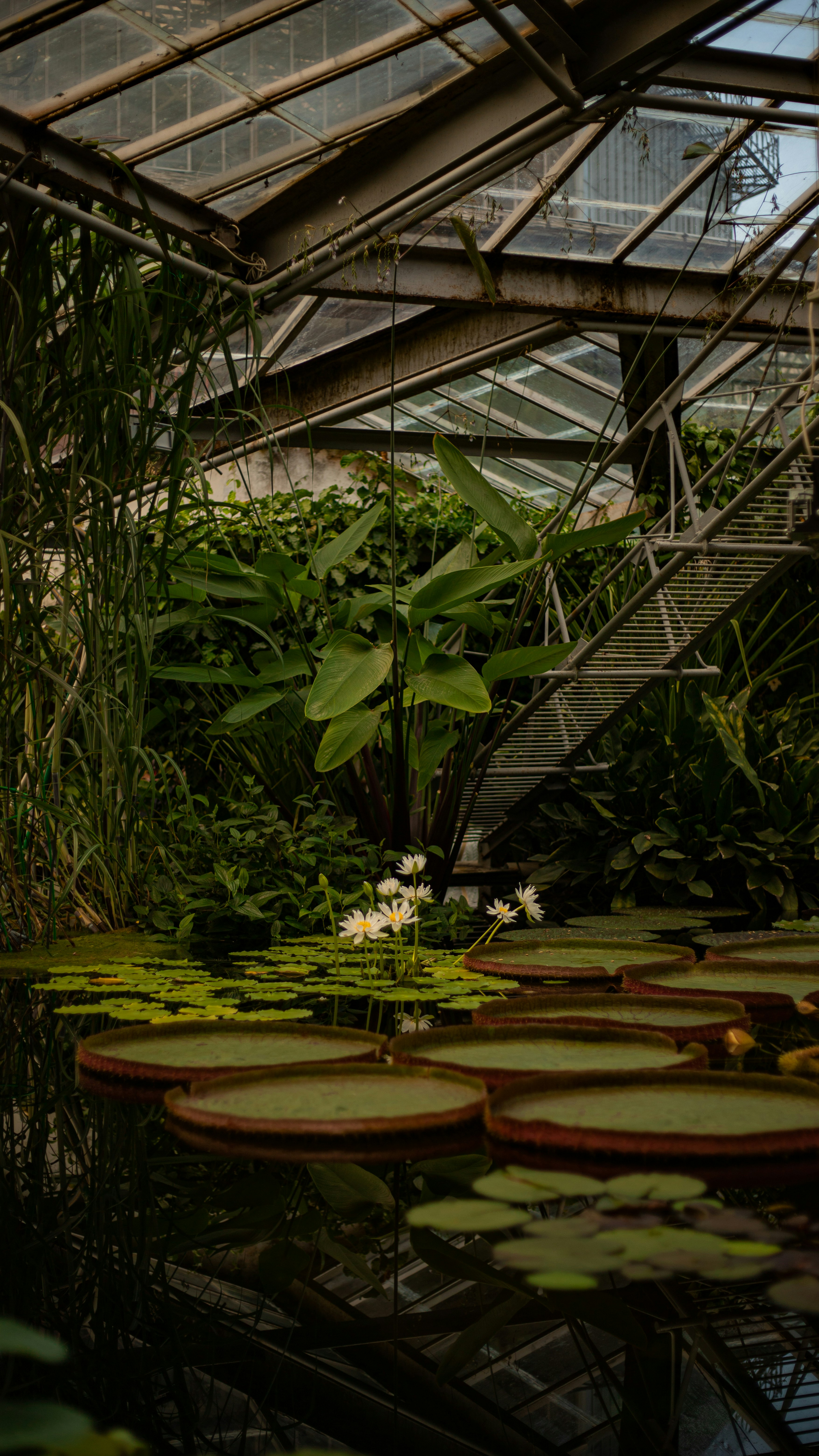 Photo by art_almighty