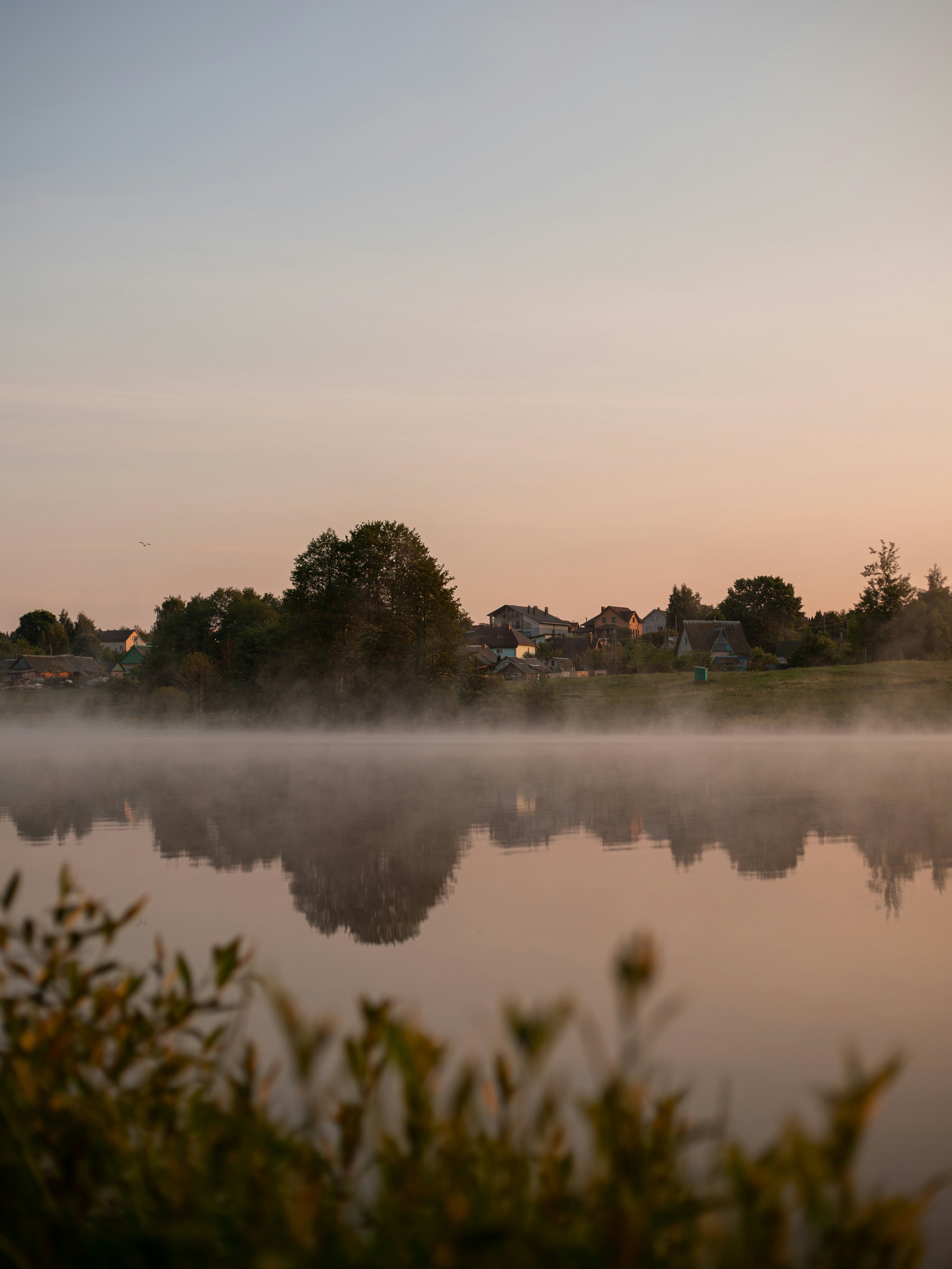 Photo by art_almighty