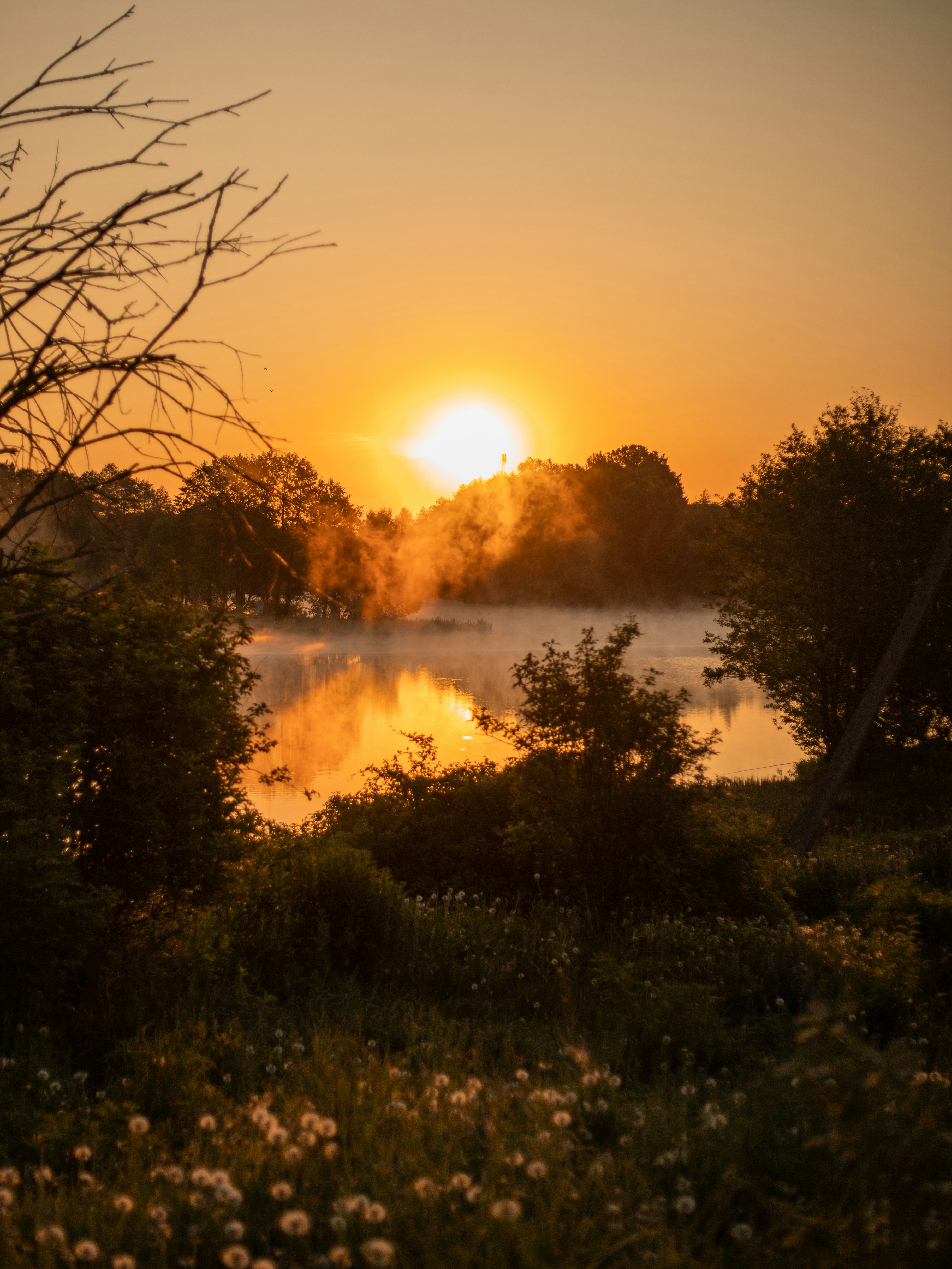 Photo by art_almighty