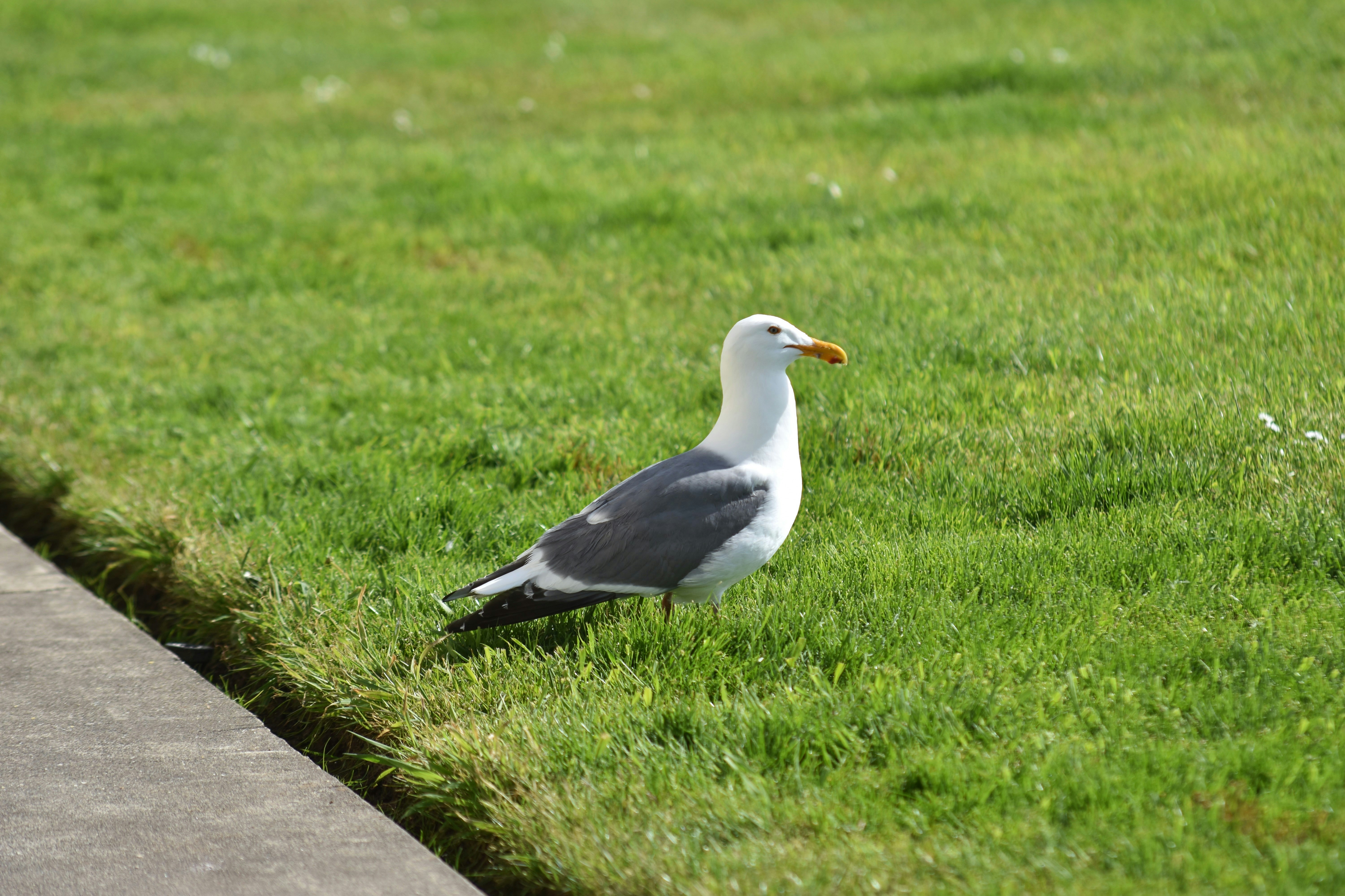 Photo by _isabel_jacobs