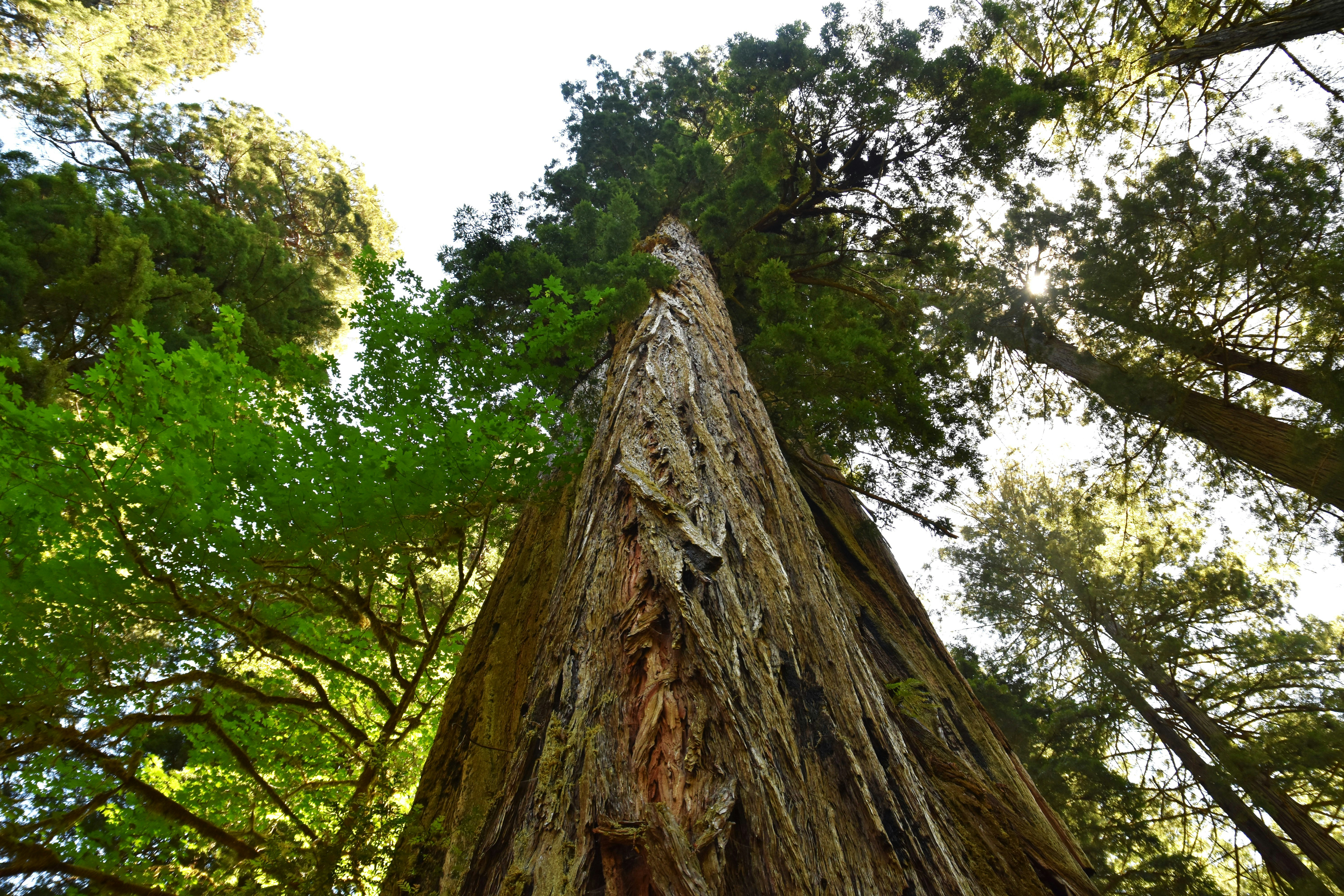 Photo by _isabel_jacobs