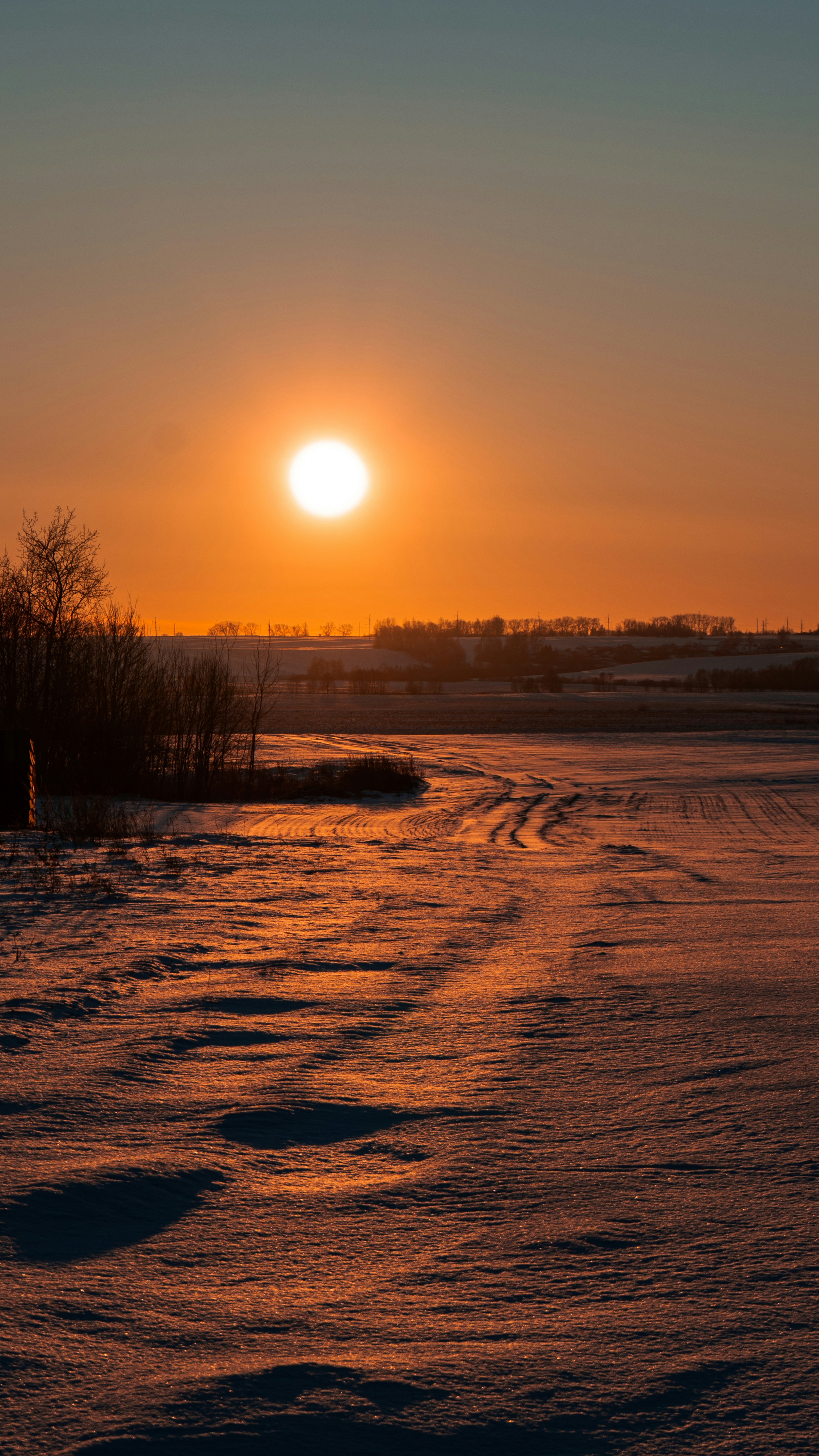 Photo by art_almighty