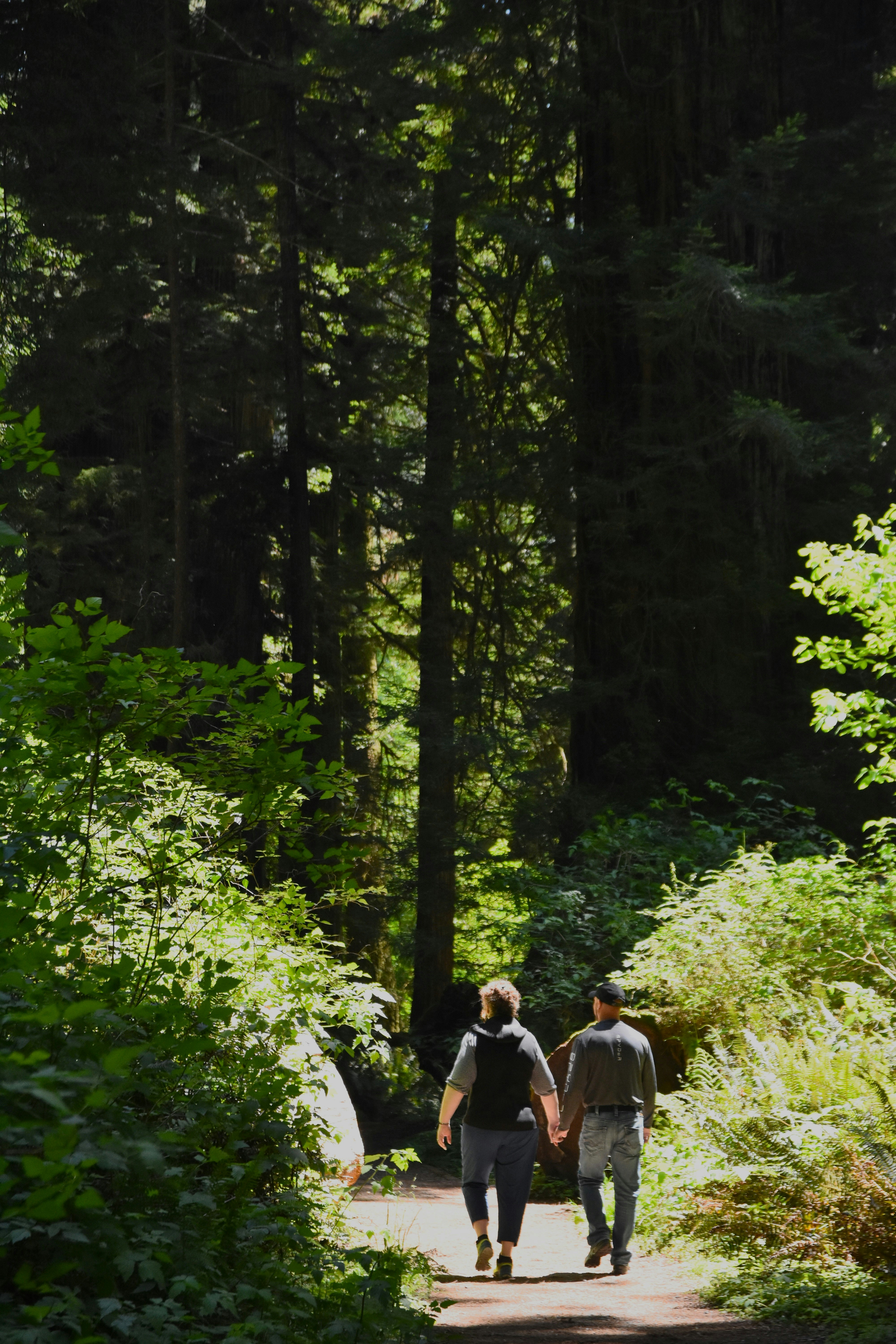 Couple holding hands on a quiet sunlit path through a forest, warm golden hour light filtering through the trees, romantic and peaceful