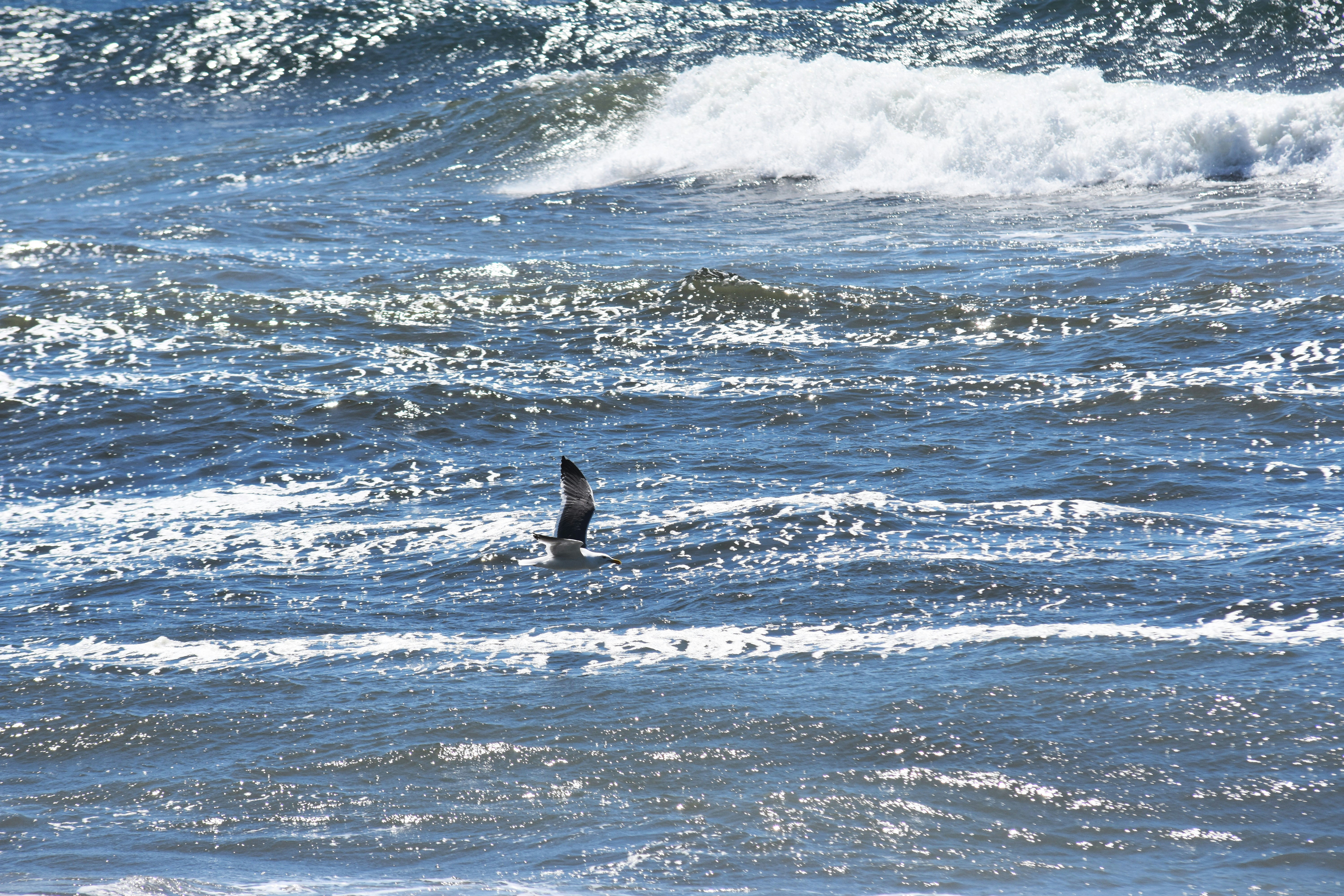 Photo by _isabel_jacobs