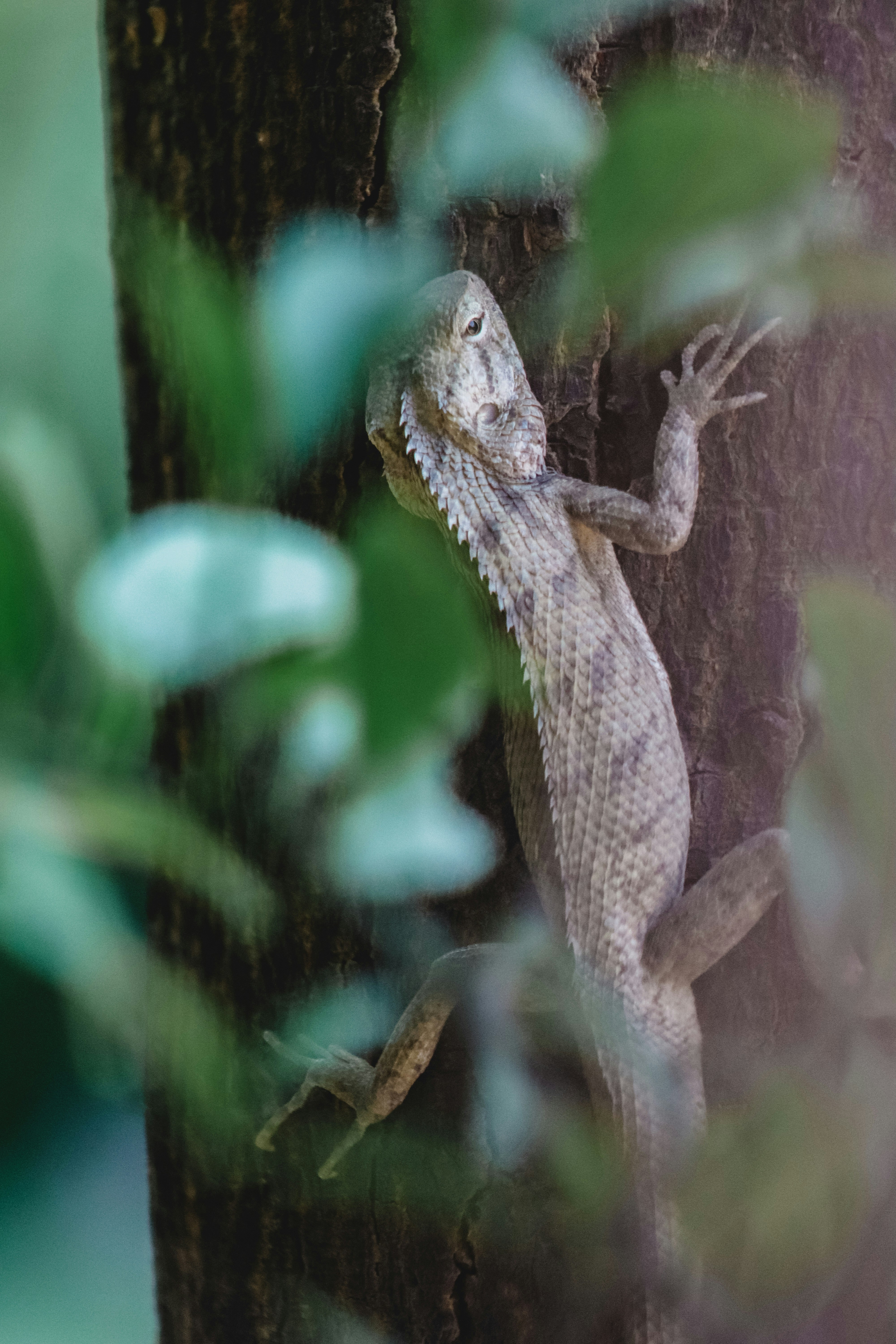 Photo by drphotographer152