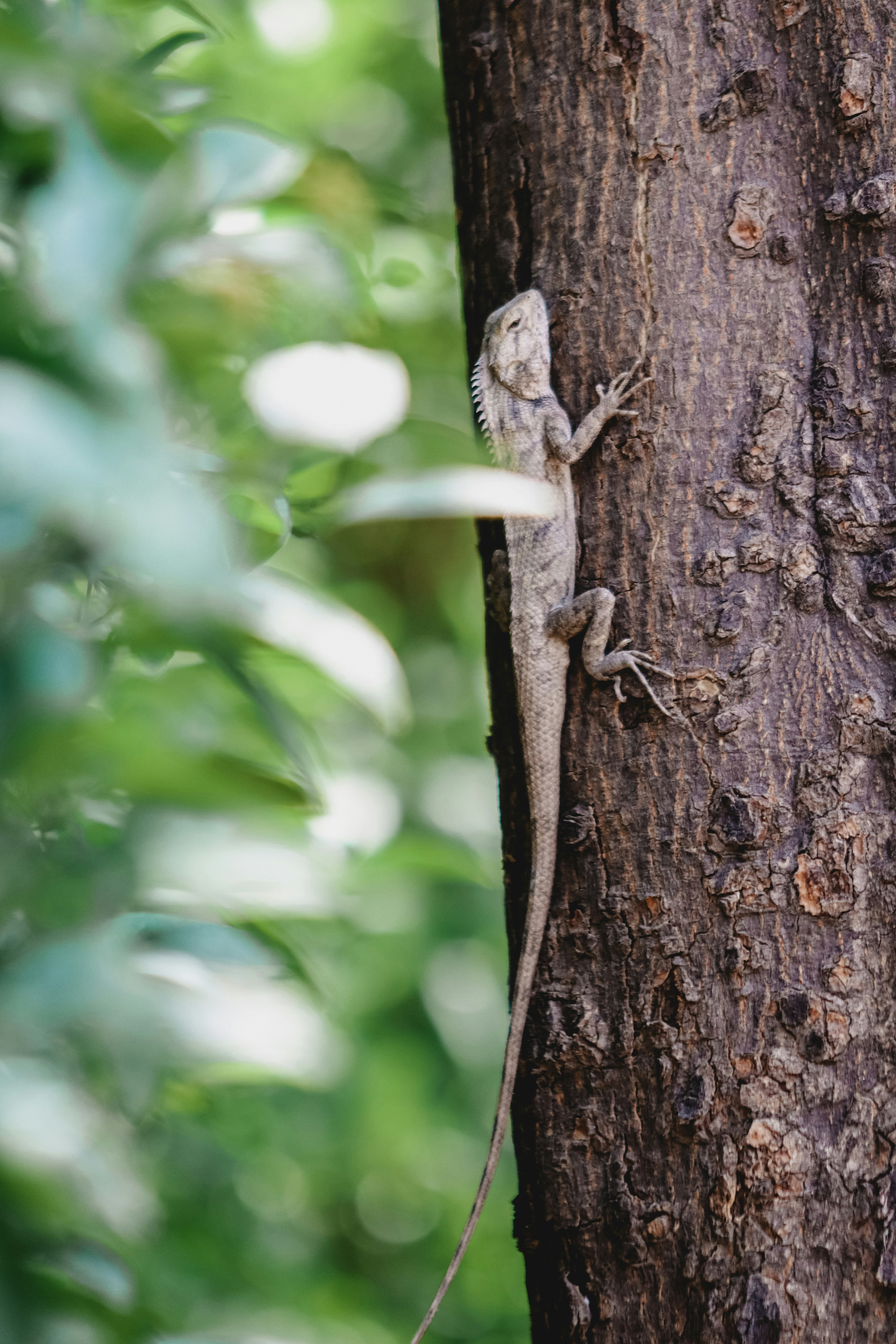 Photo by drphotographer152