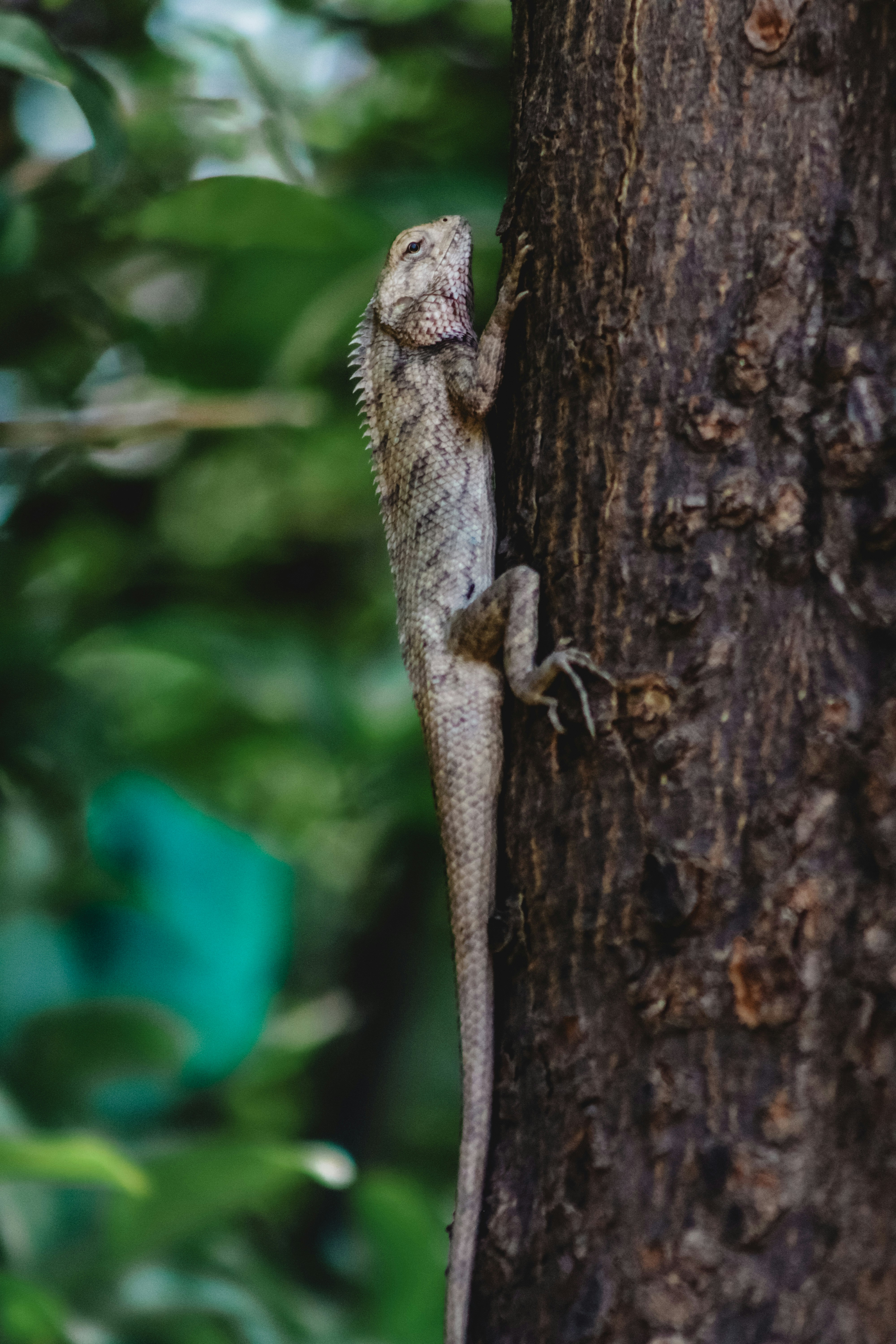 Photo by drphotographer152