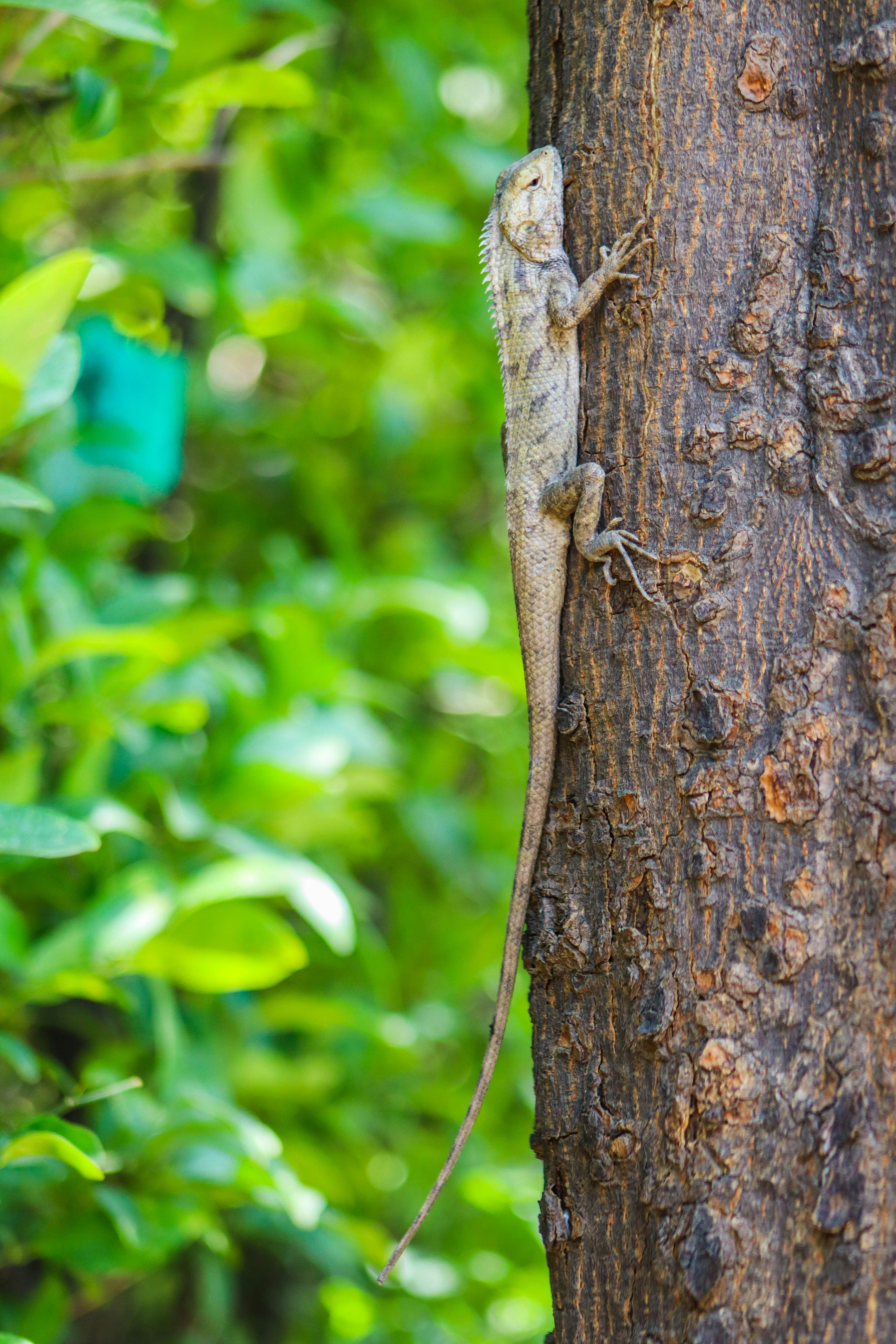 Photo by drphotographer152