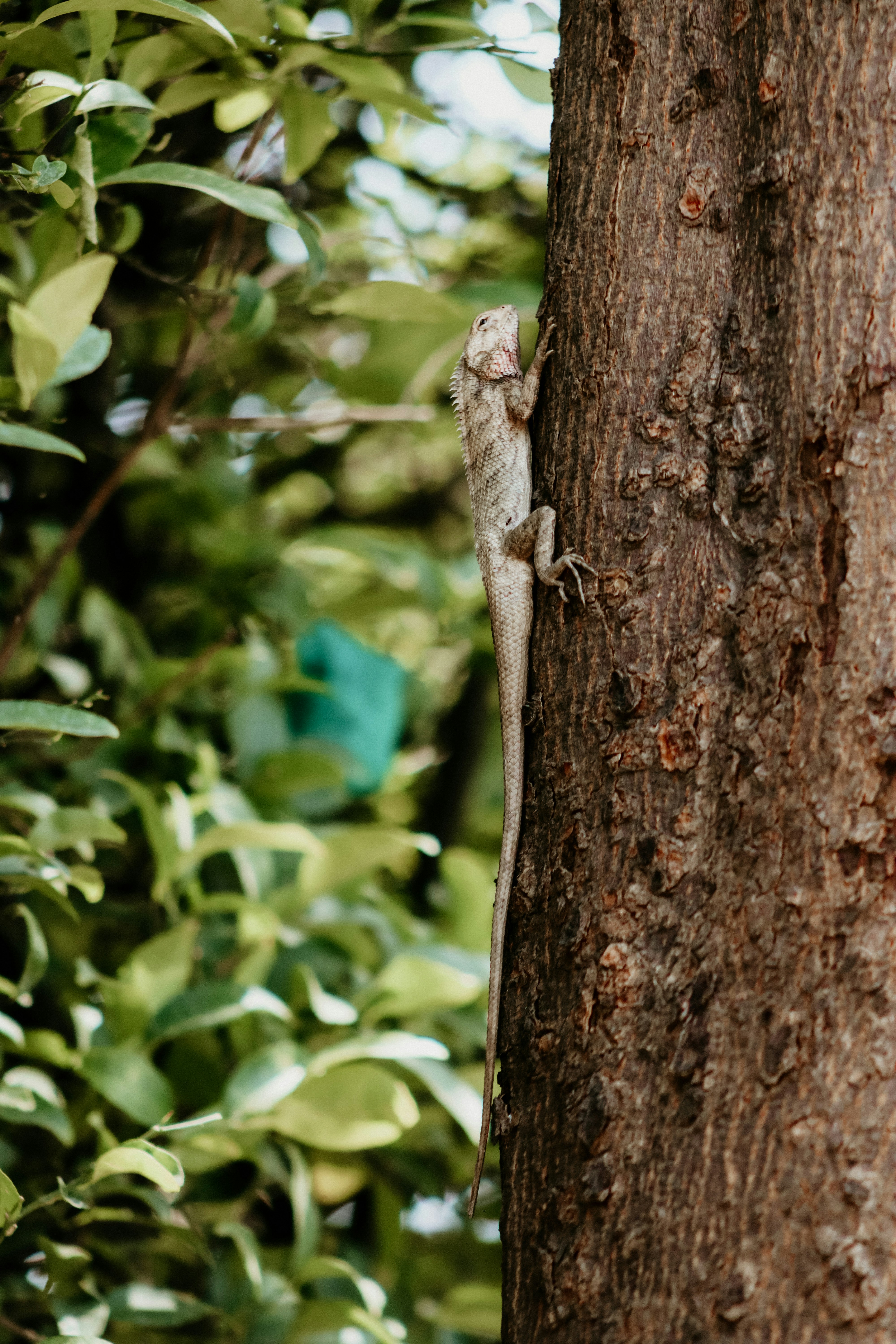 Photo by drphotographer152