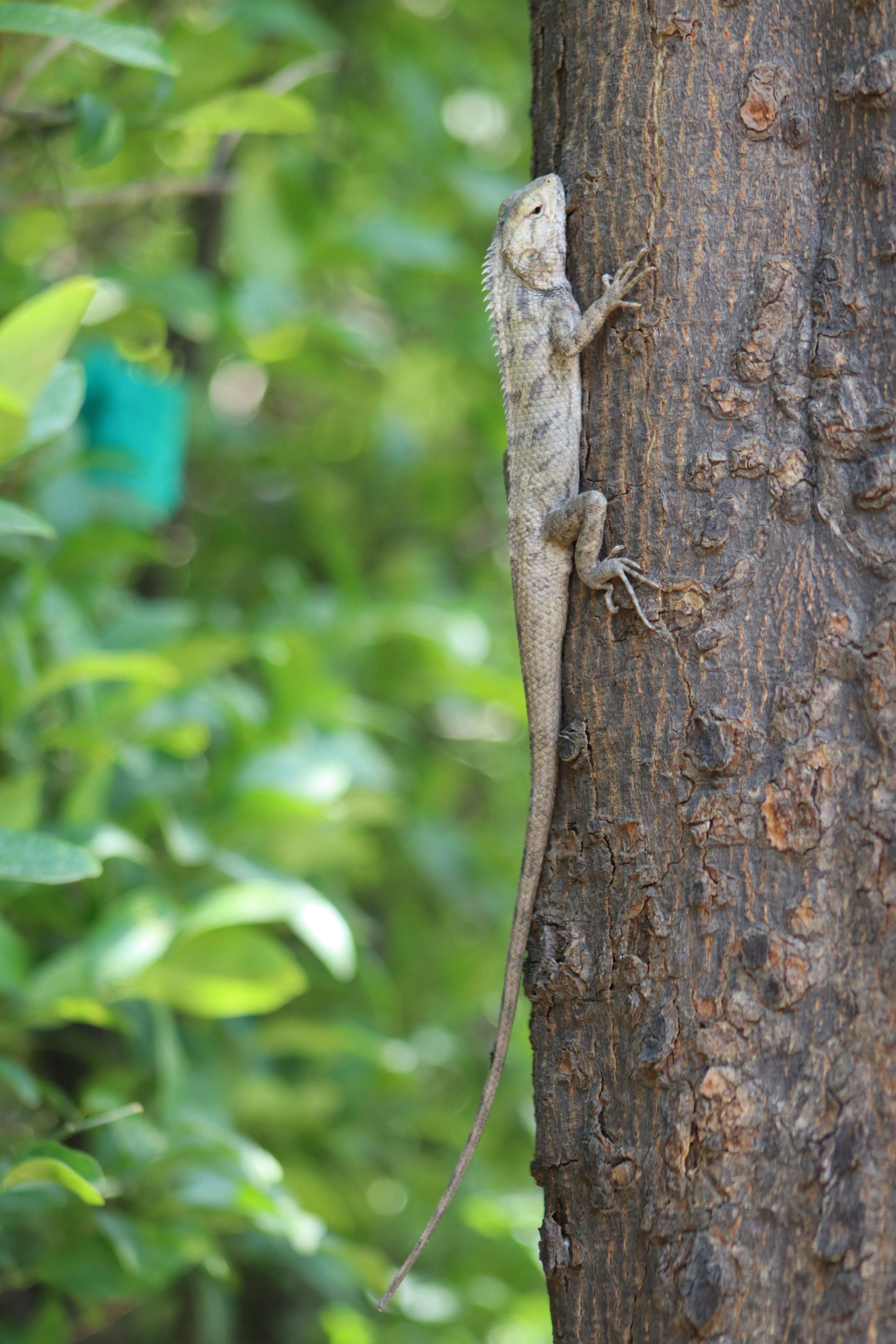 Photo by drphotographer152