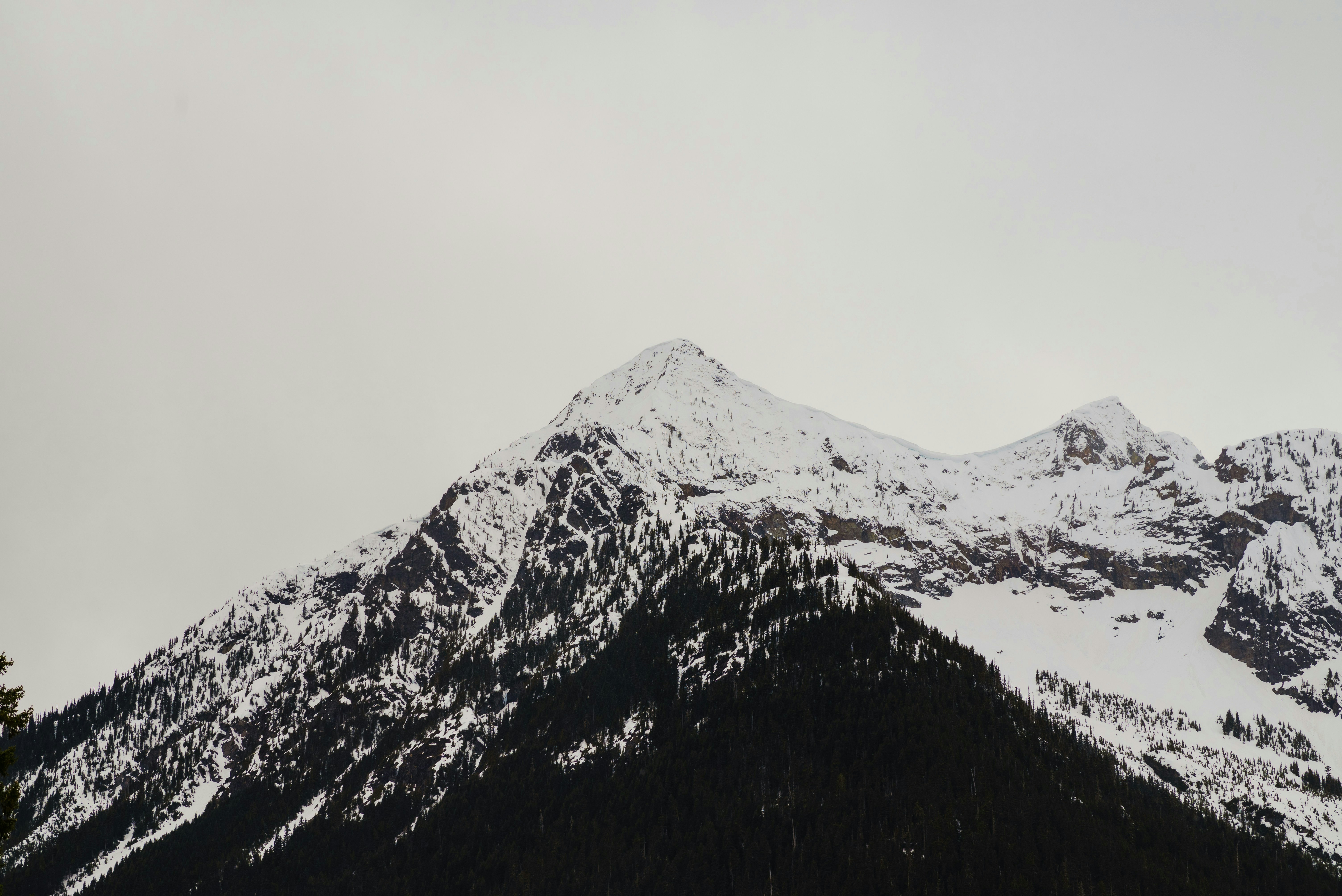 Photo by utkarsh_singhsankrit