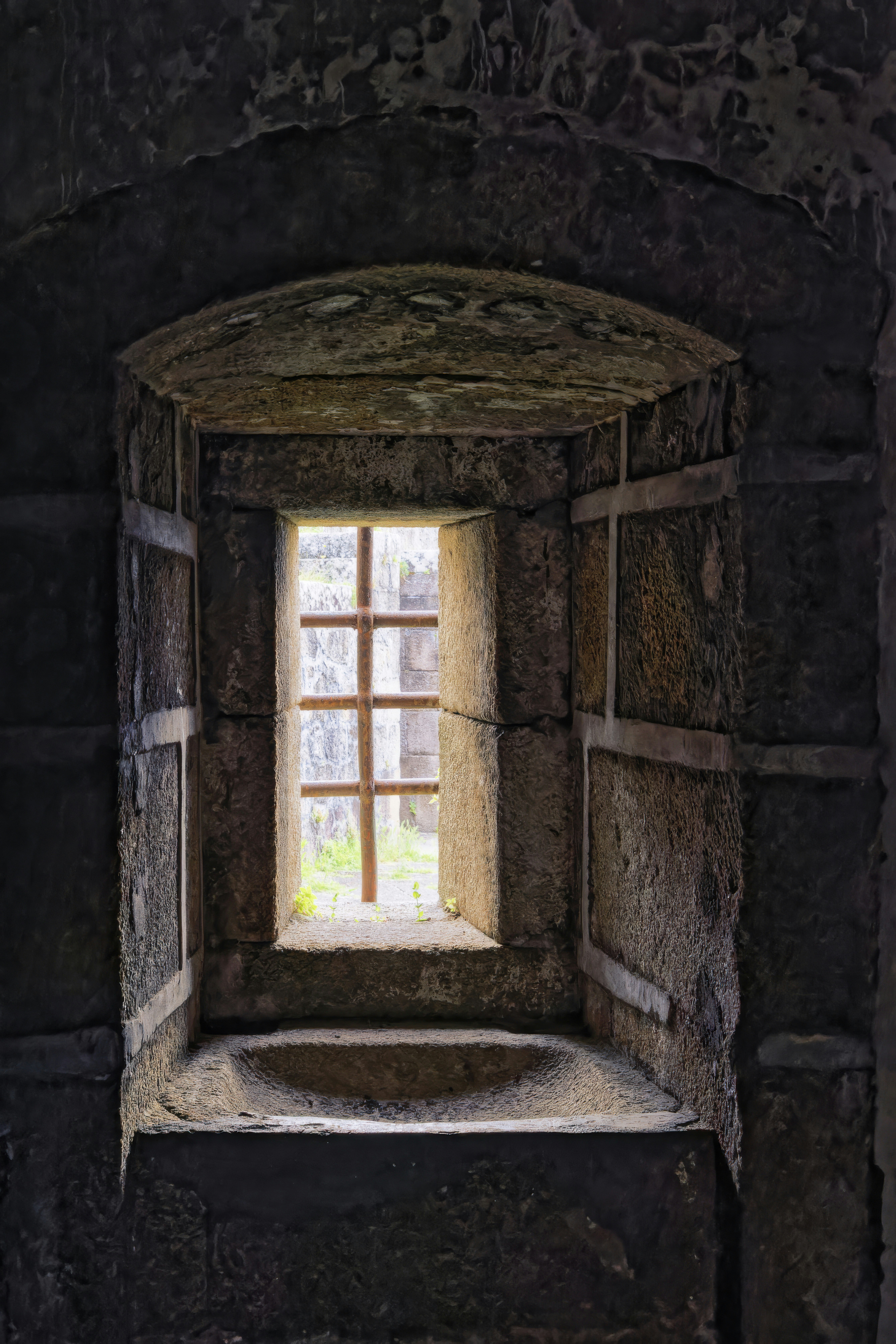 Organized Crime: History & Myth