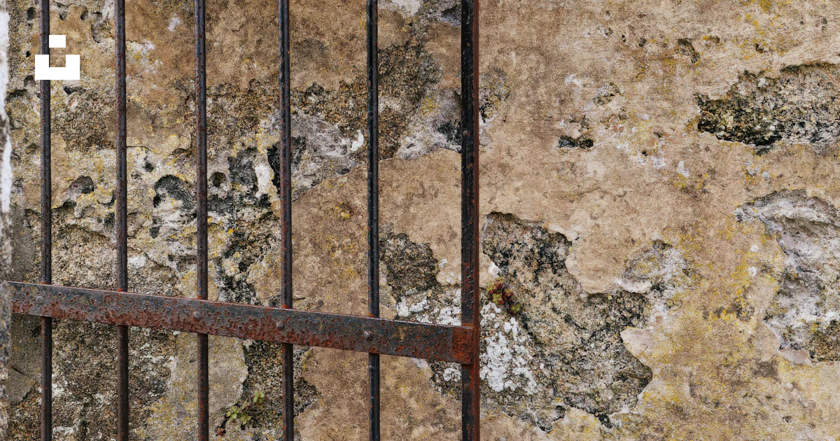 A rusted iron shelf with a plant growing out of it photo – Free Ferrol ...