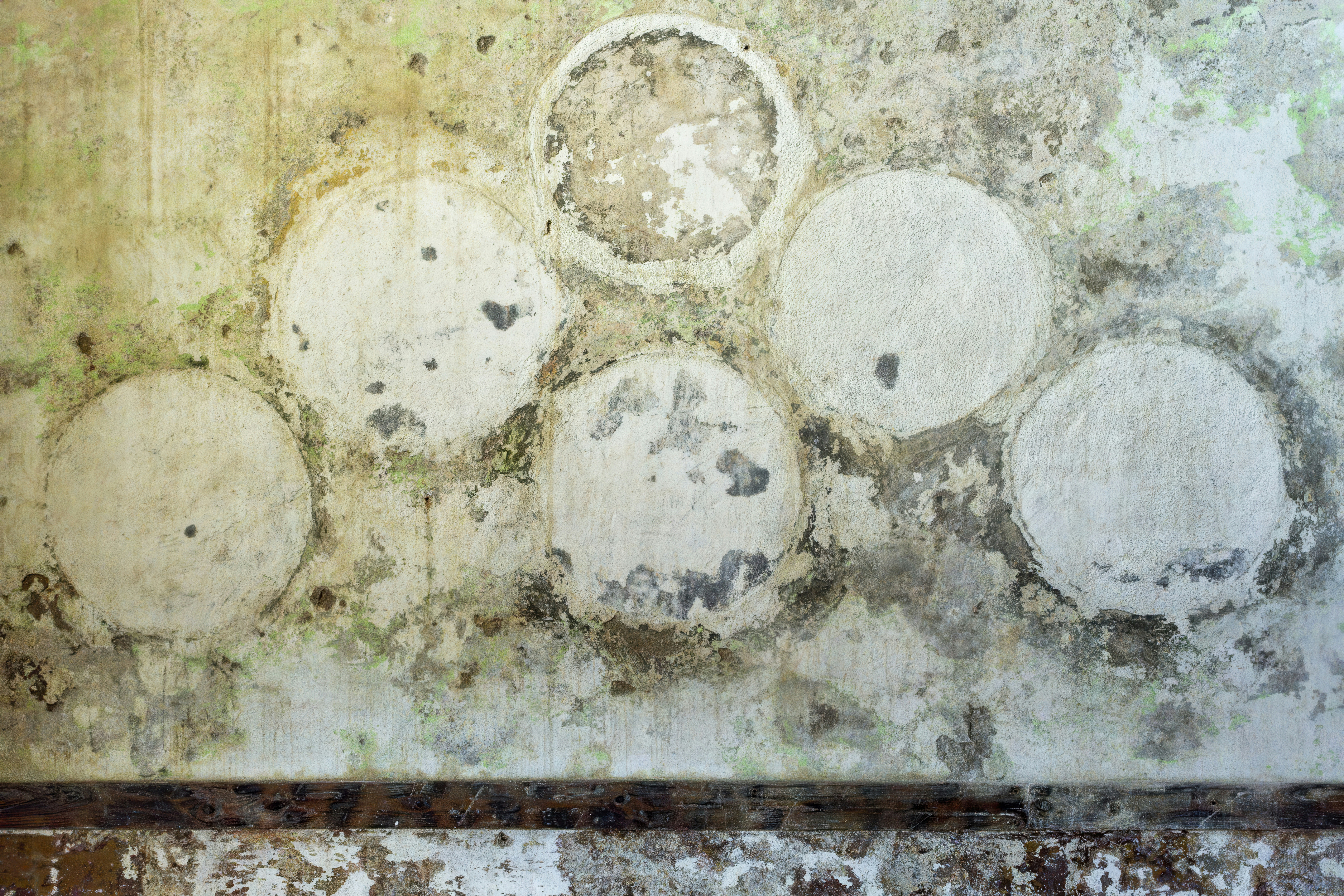 a wall with a bunch of circles painted on it