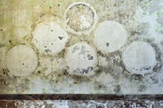 a wall with a bunch of circles painted on it