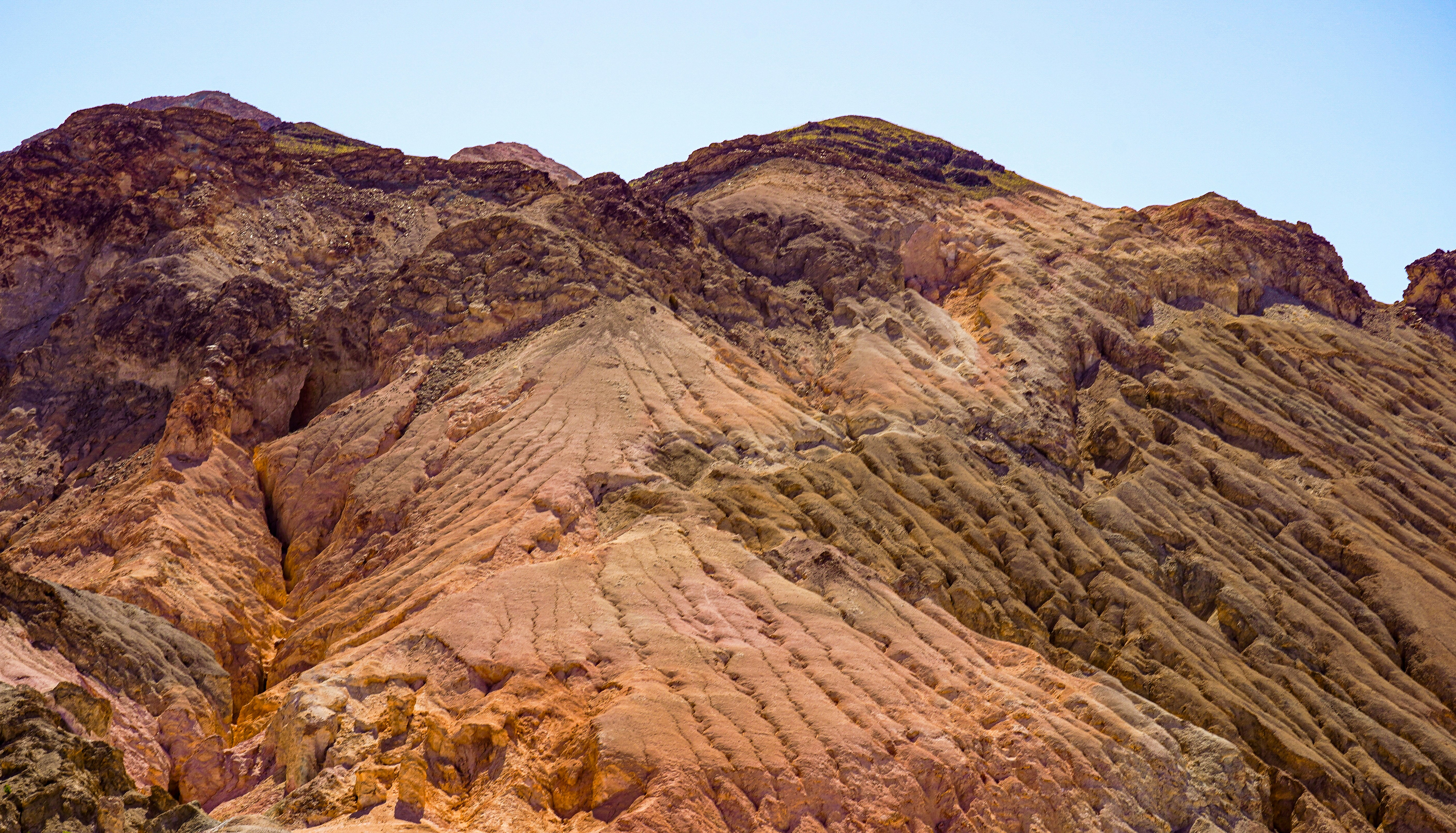 Photo by jeremygbrady