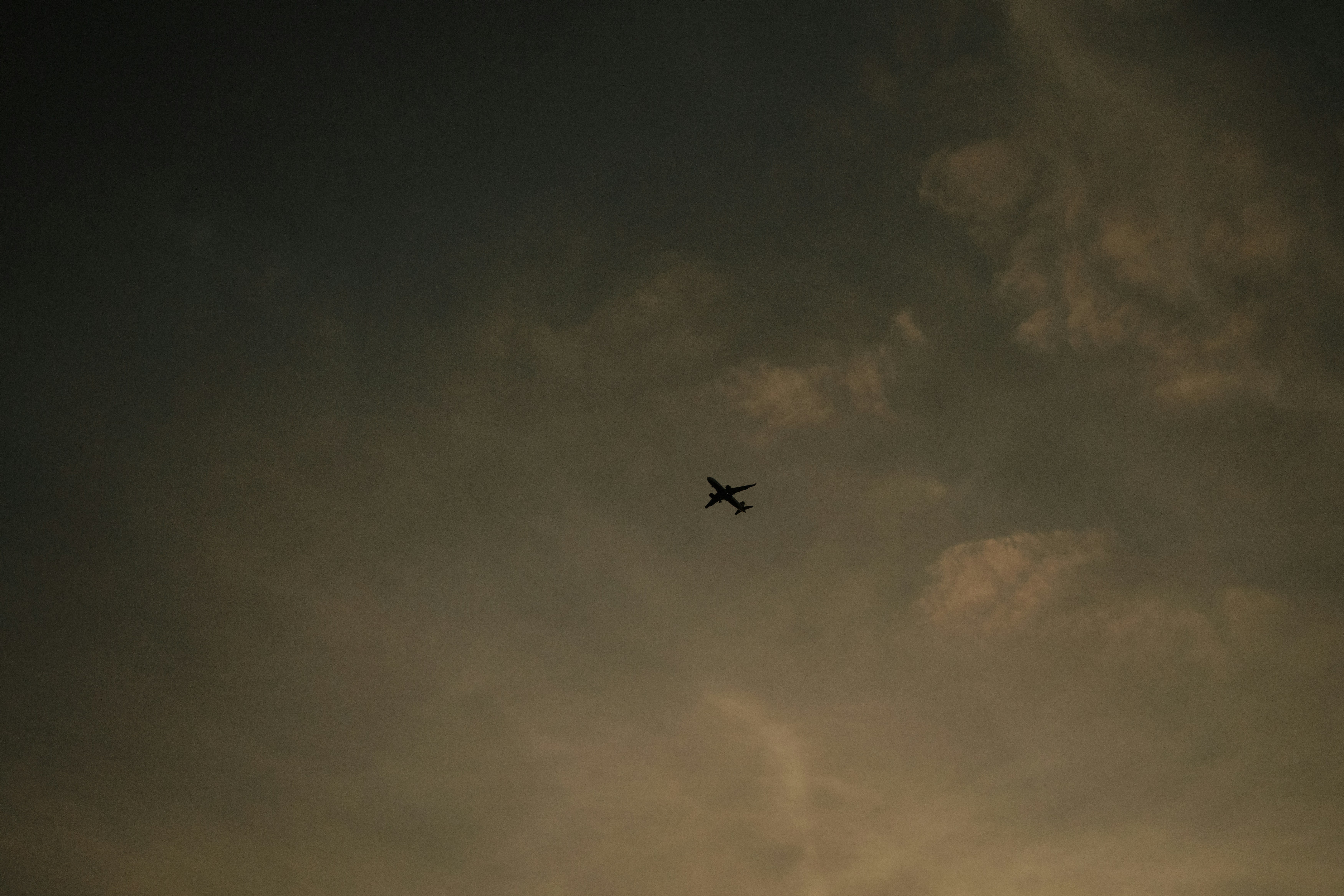 Photo by darwinboaventura