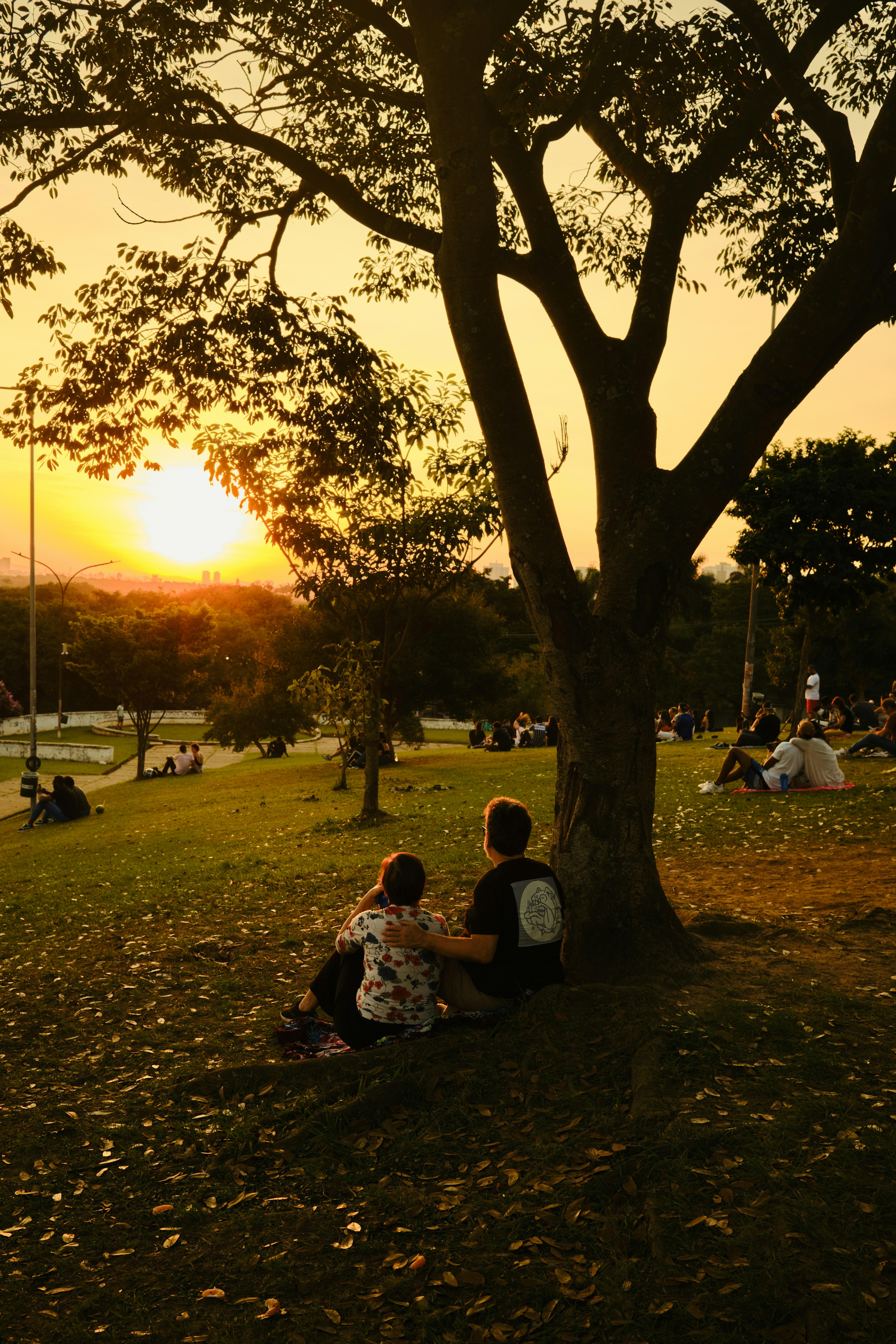 a couple of people that are sitting under a tree
