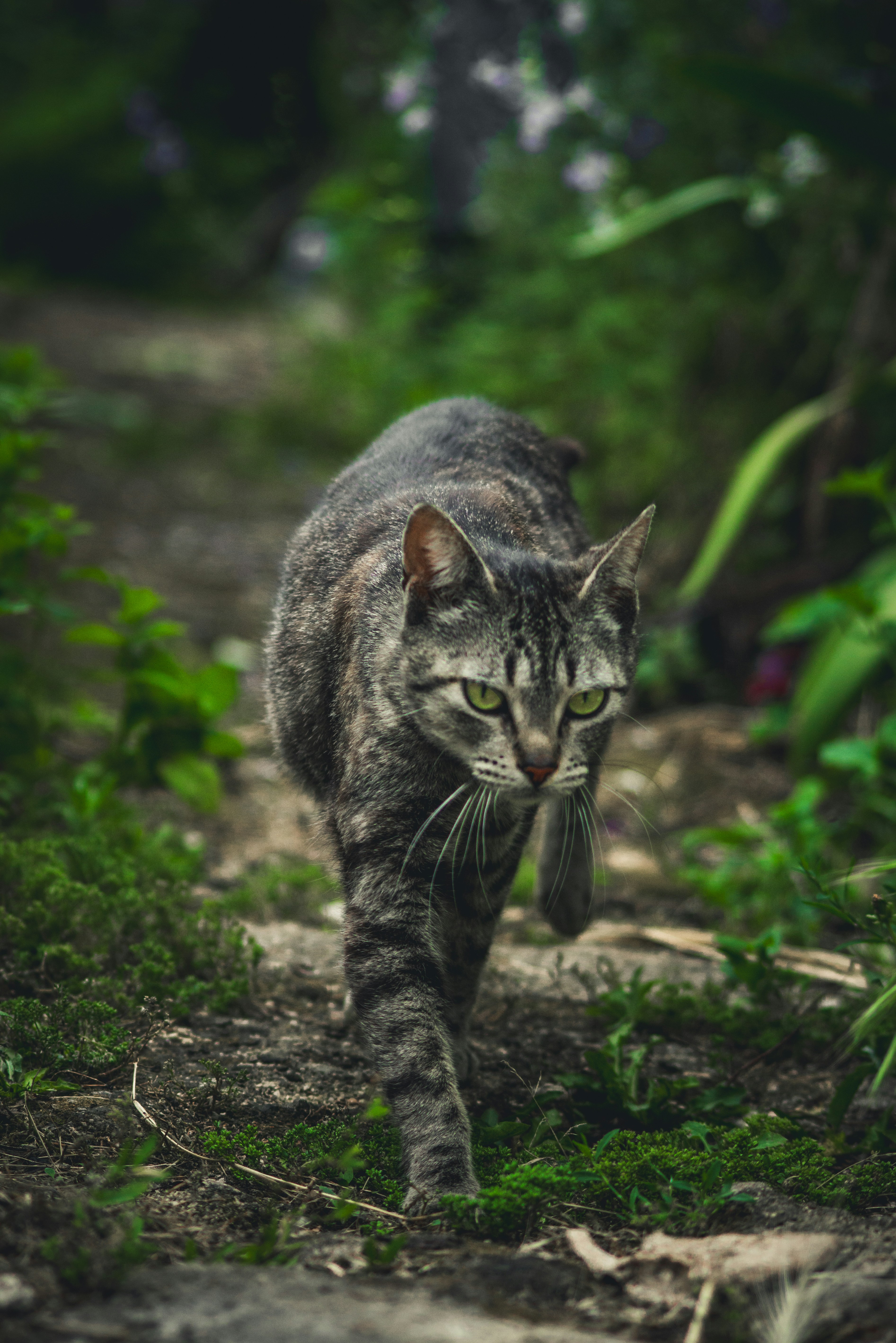 Photo by diogocardoso28