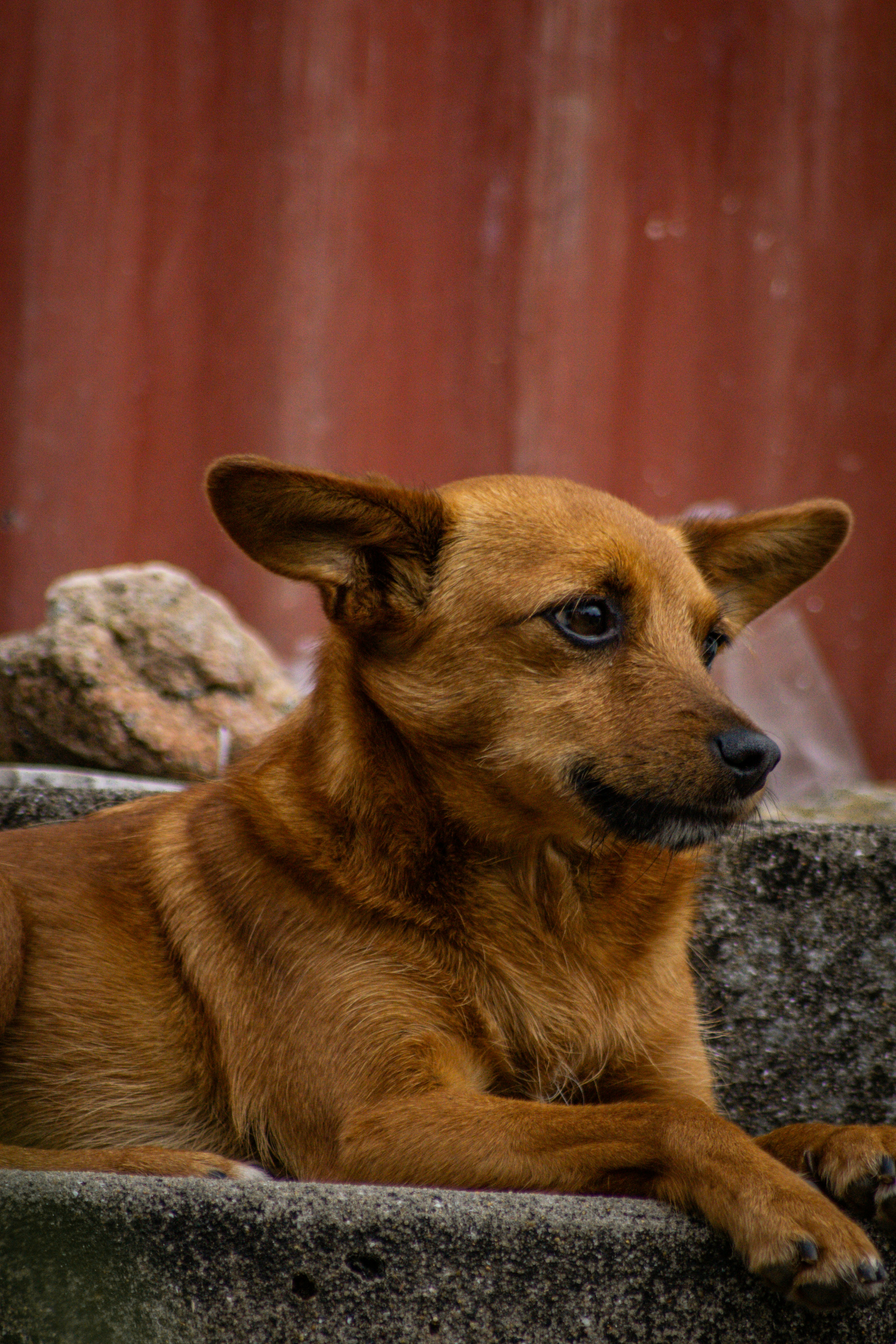 Photo by diogocardoso28