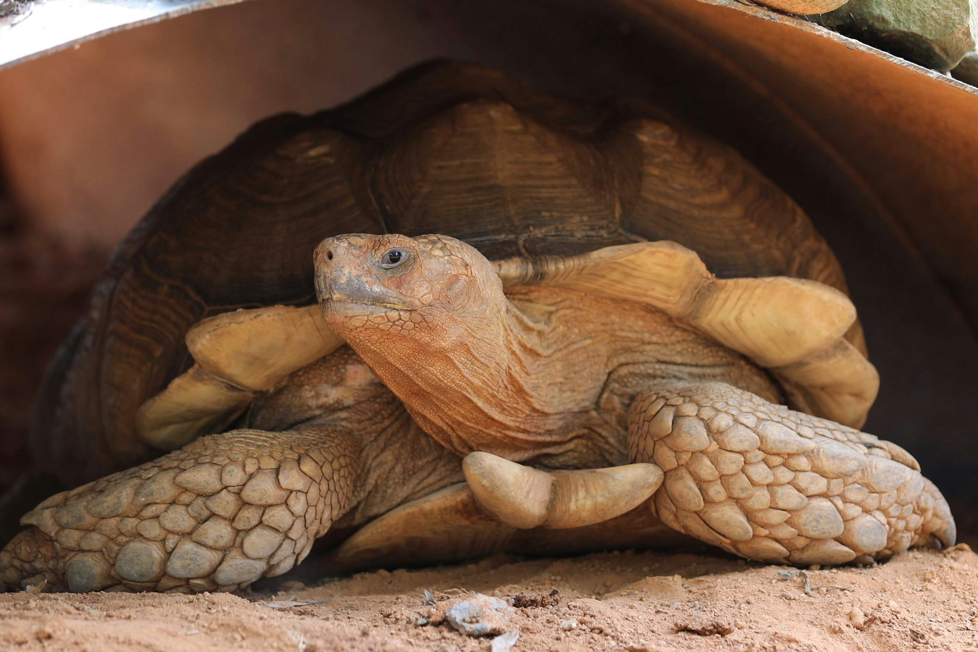 Photography by Jainath Ponnala