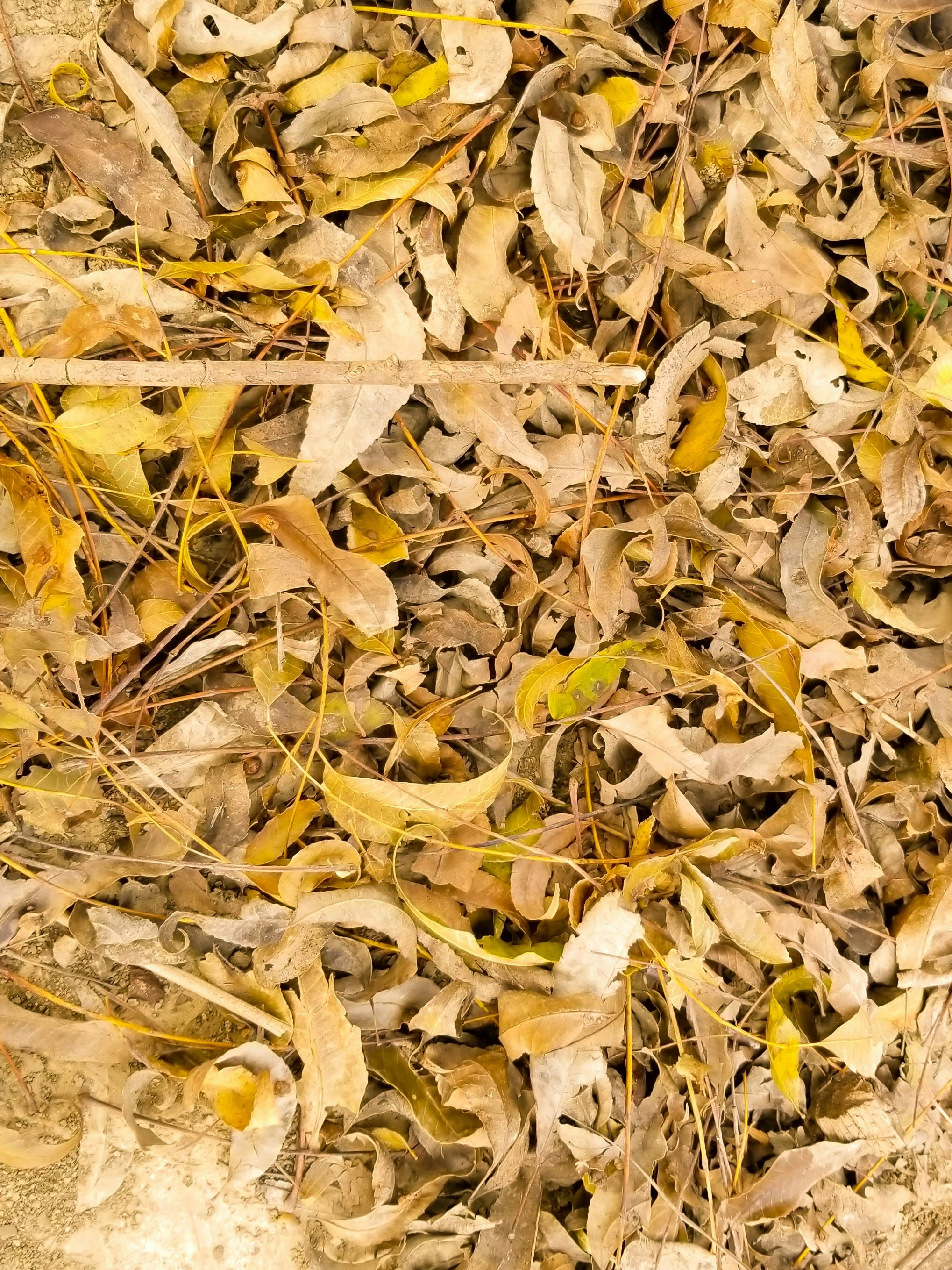 Photography by Jainath Ponnala