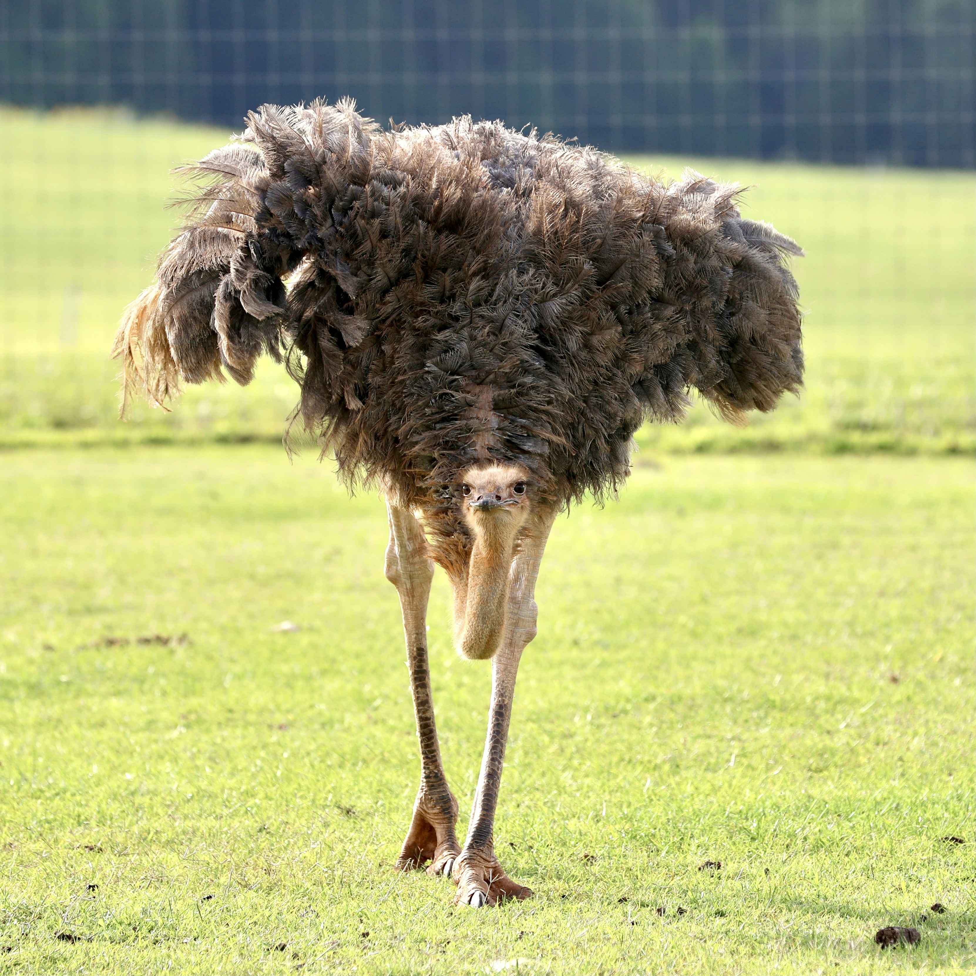 Photography by Jainath Ponnala