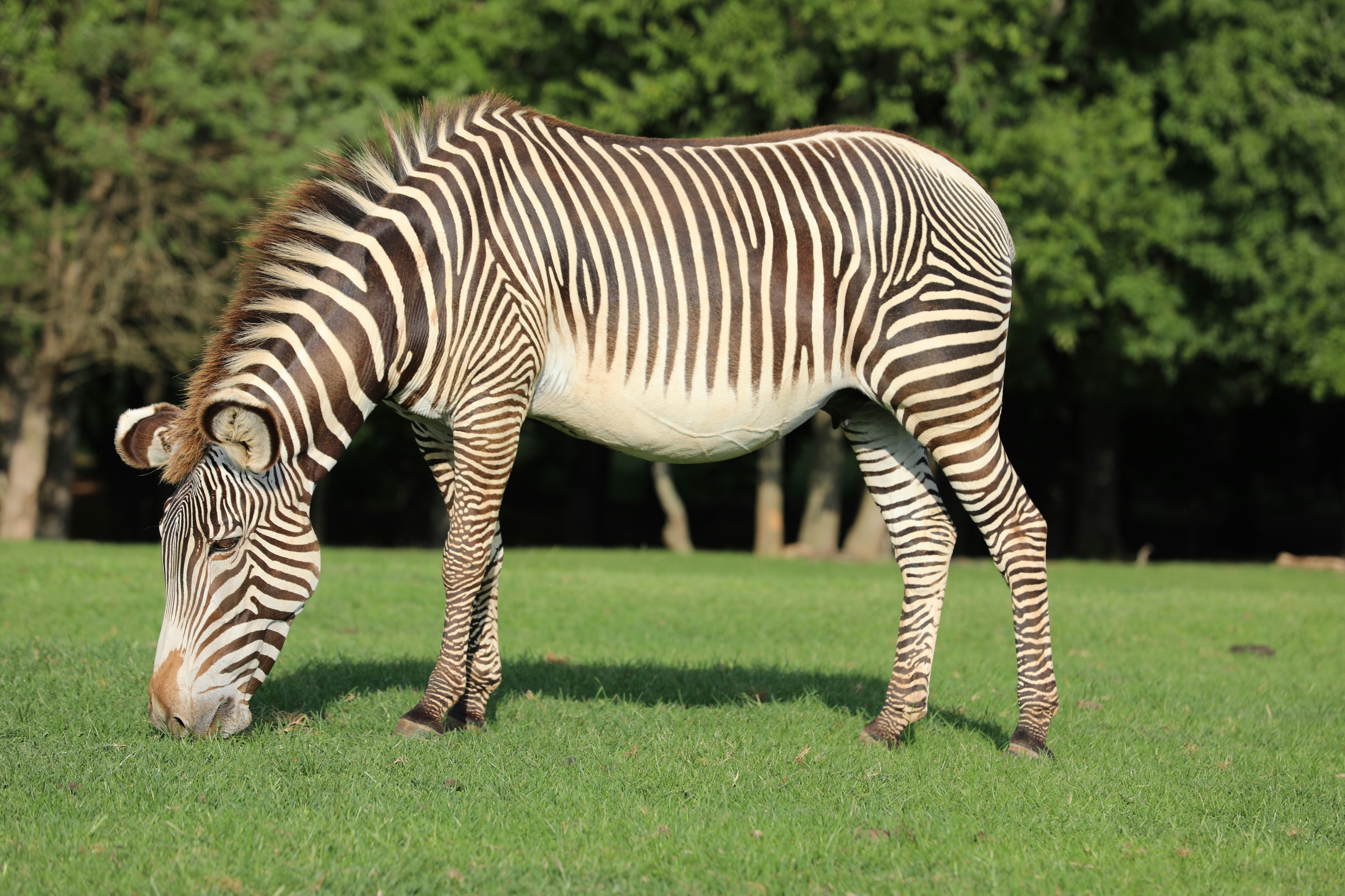 Photography by Jainath Ponnala