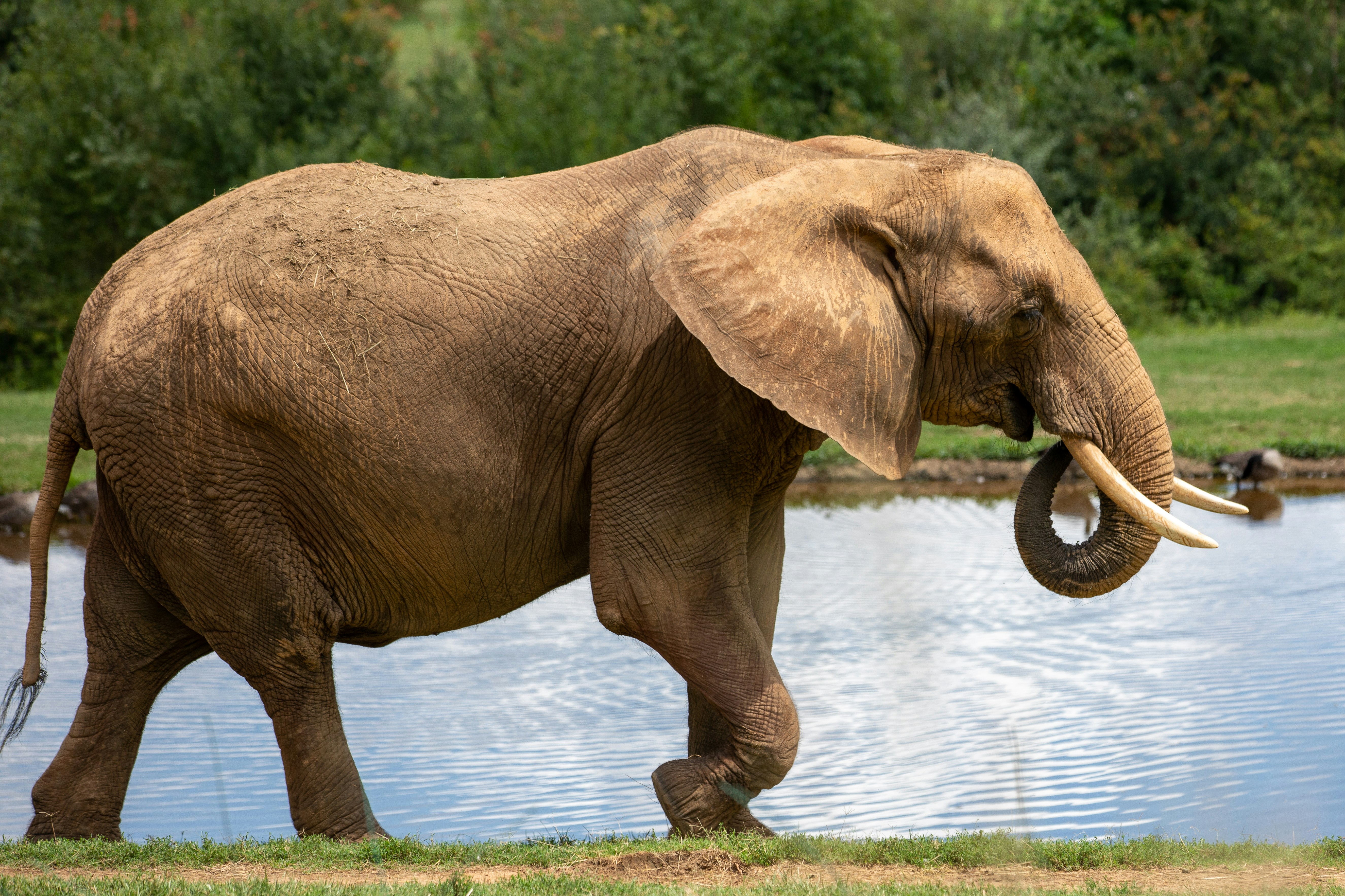 Photography by Jainath Ponnala