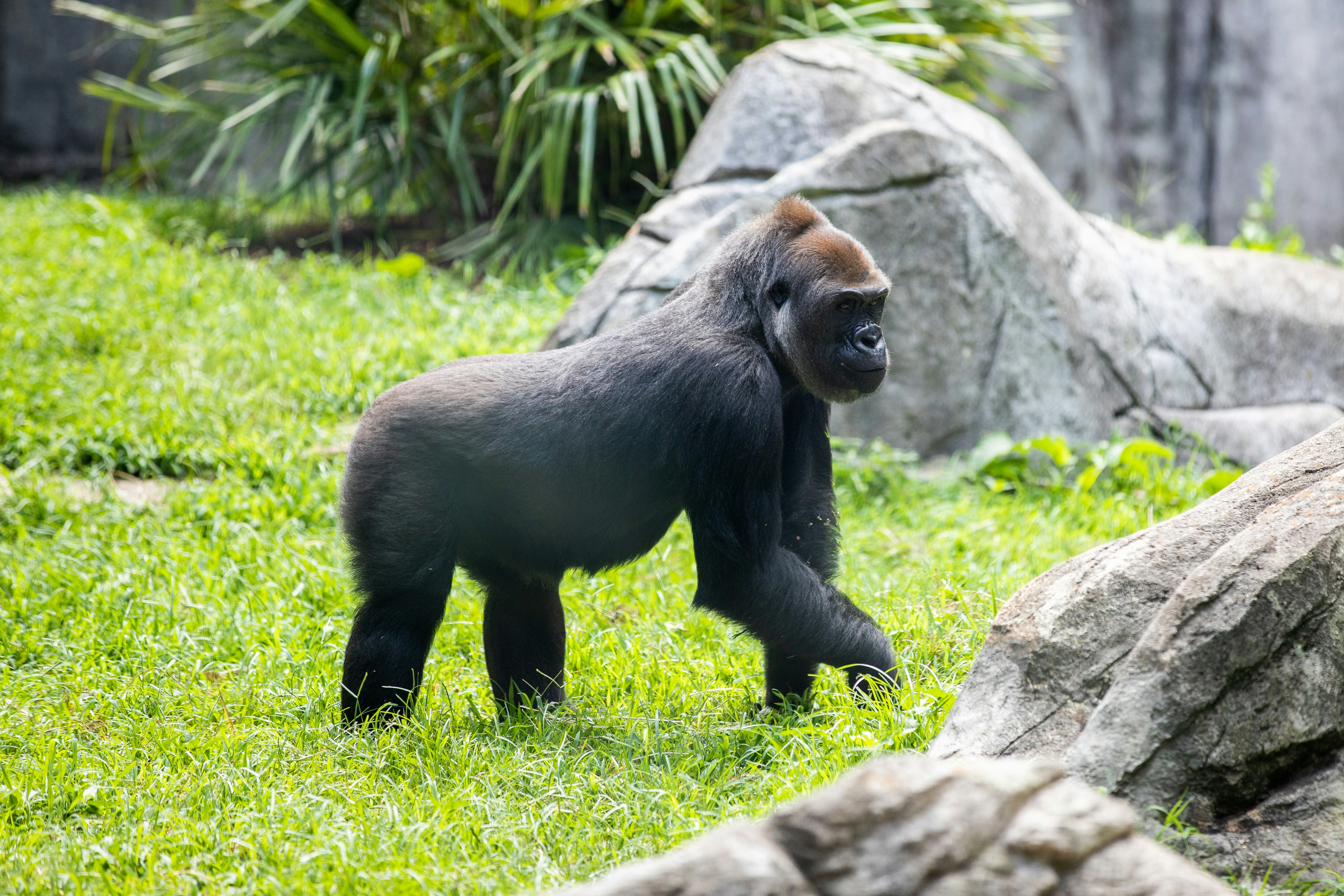 Photography by Jainath Ponnala