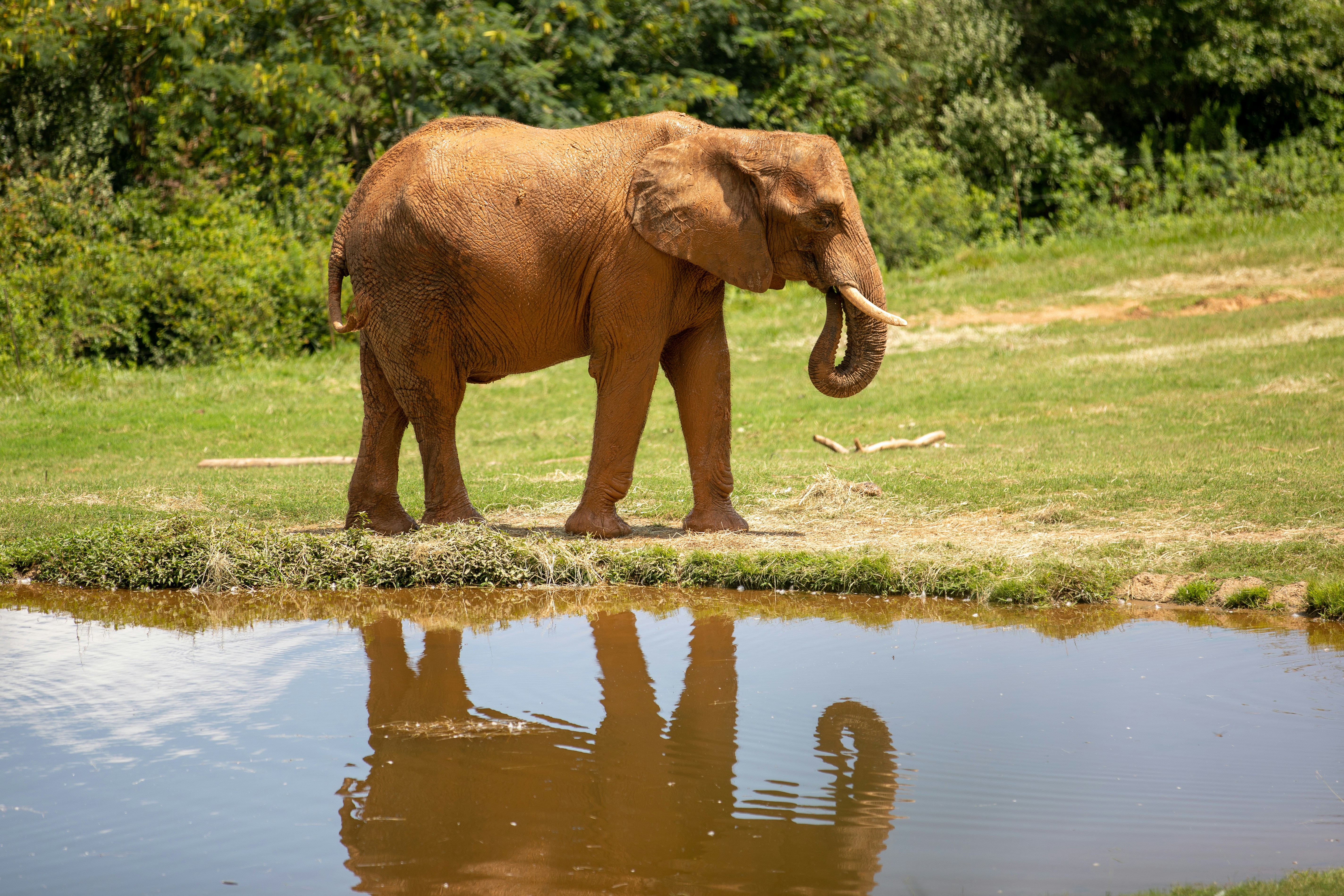 Photography by Jainath Ponnala