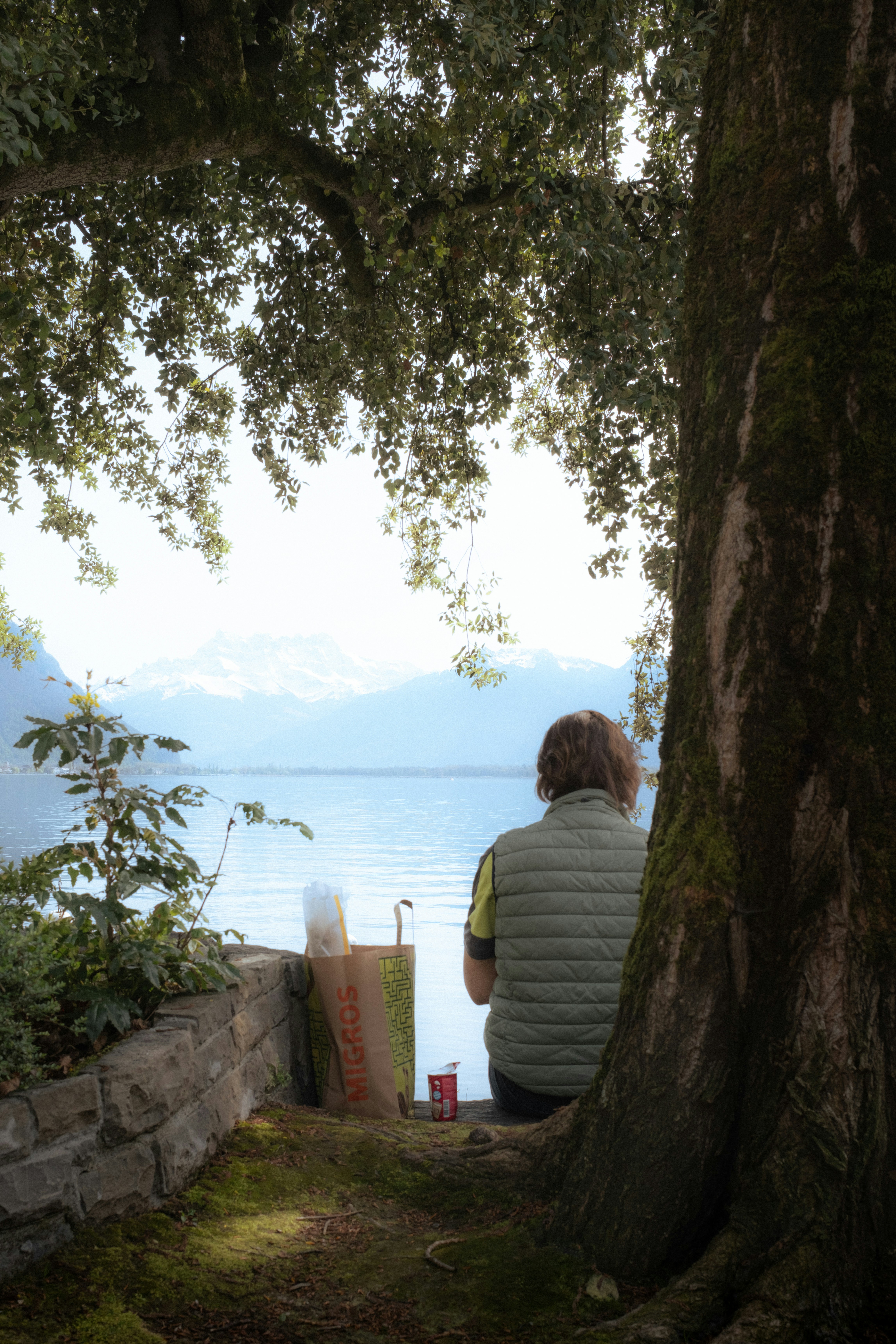 a-person-sitting-on-a-bench-next-to-a-tree-KG_VN5Yp98Y