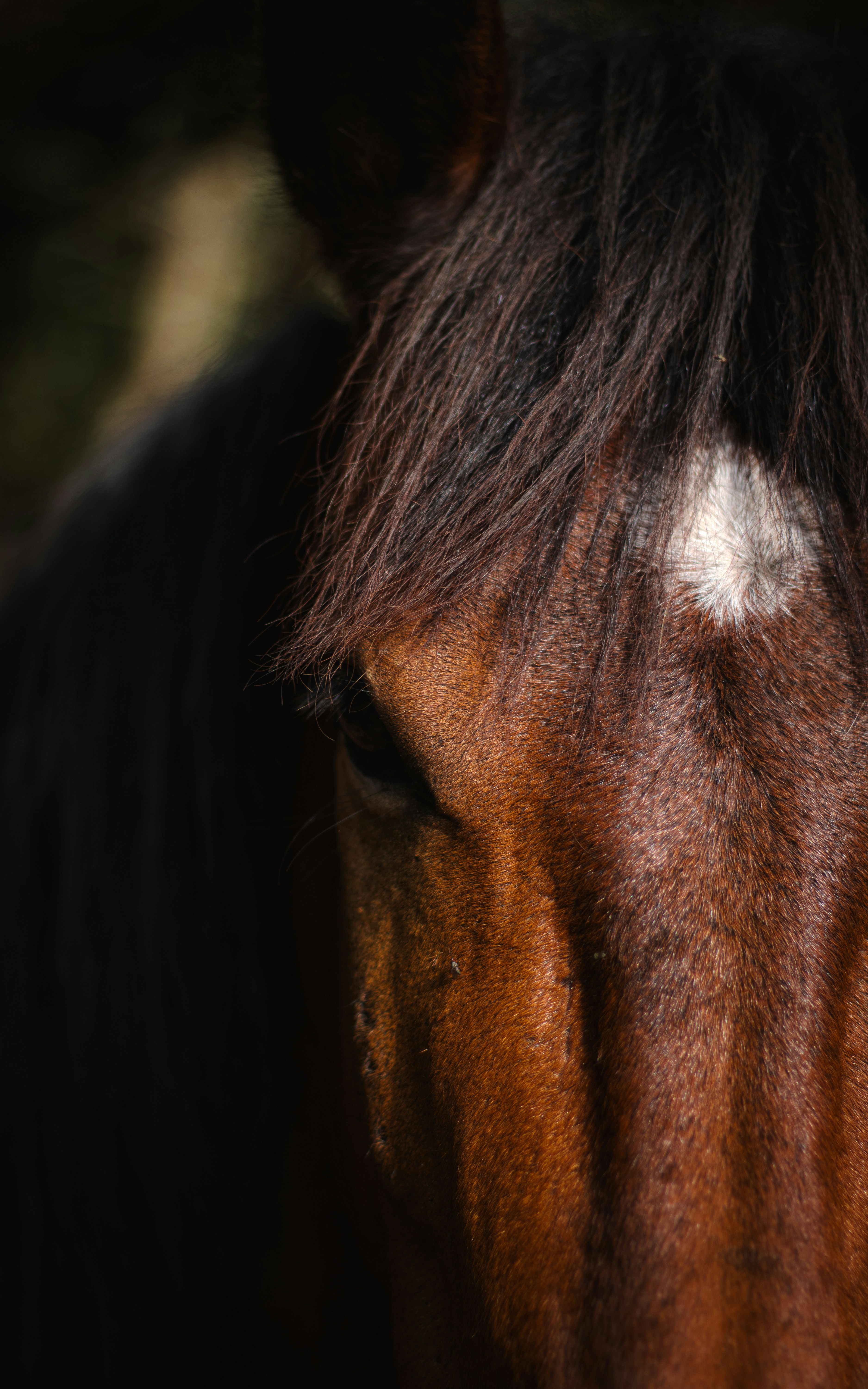 Photo by nata_alvess