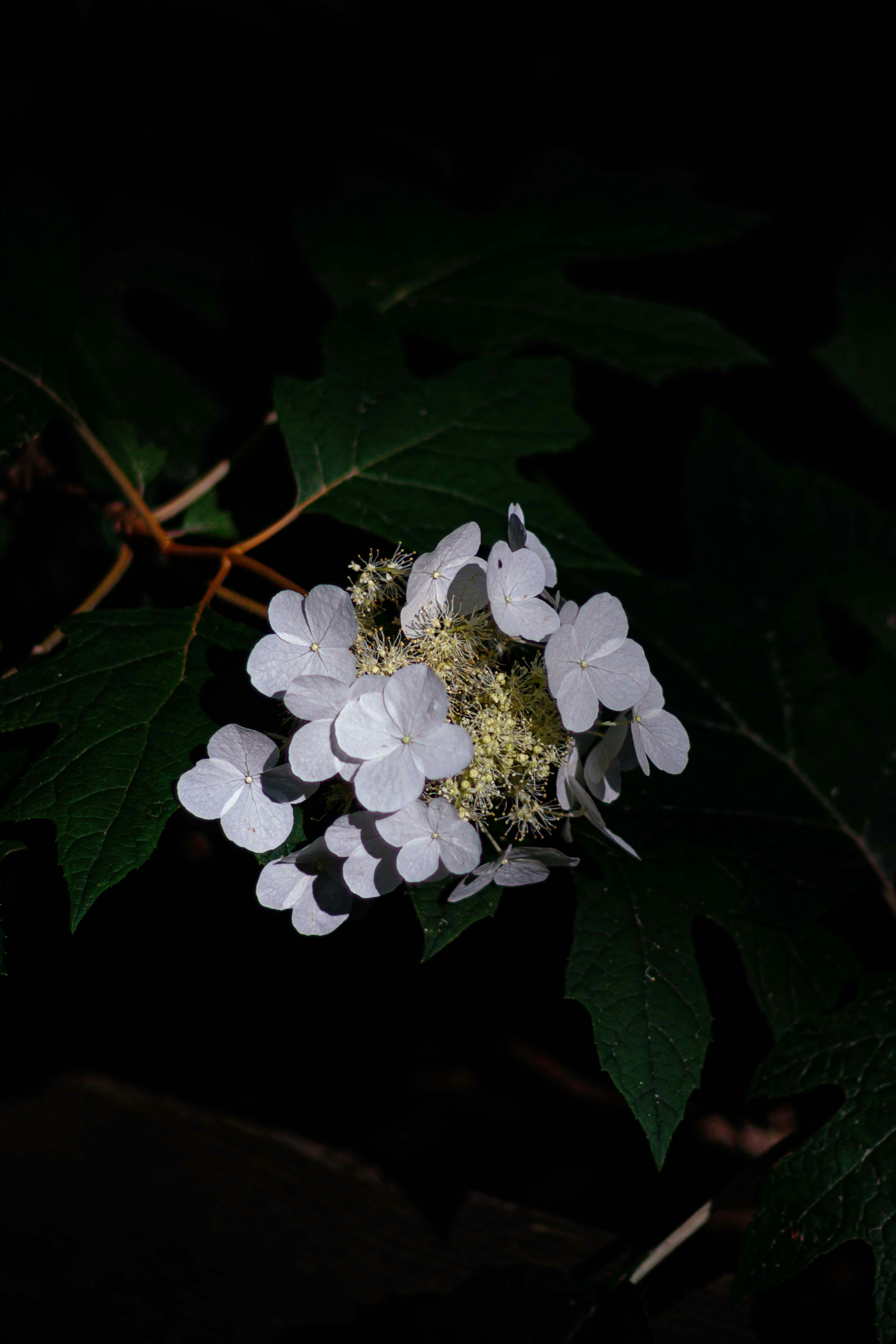 Photo by parkerdesignsss