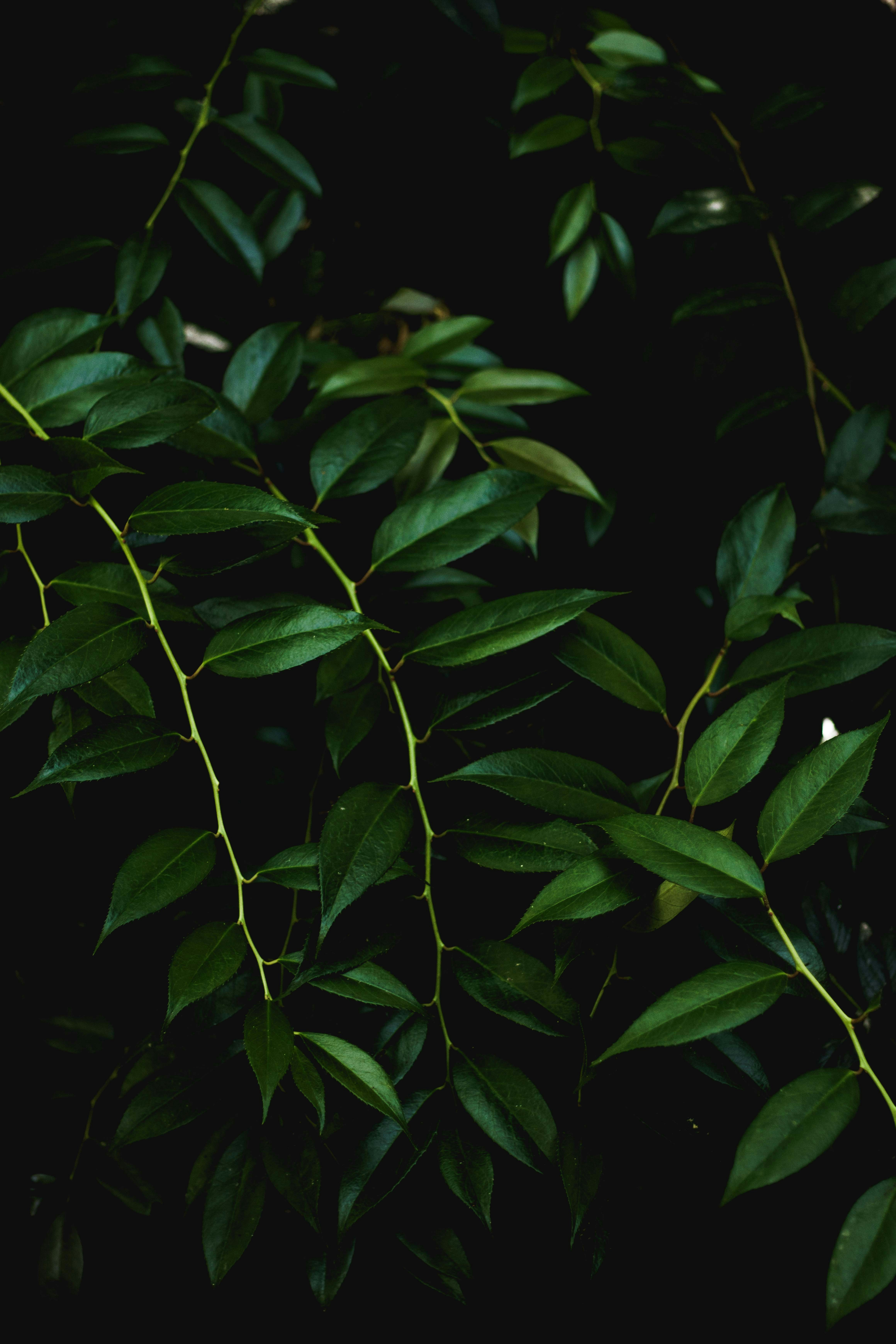 Photo by parkerdesignsss