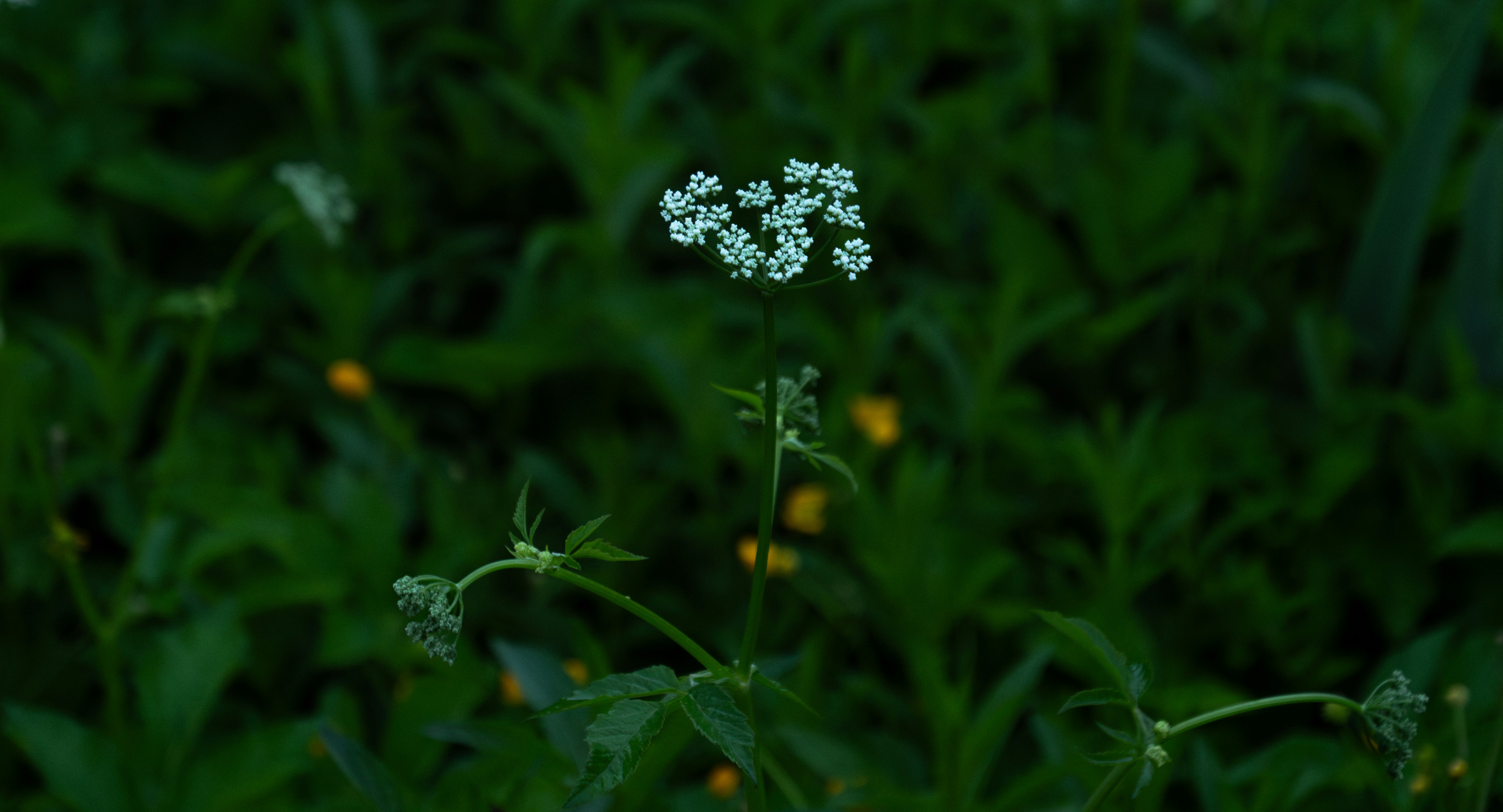 Photo by storybyphil