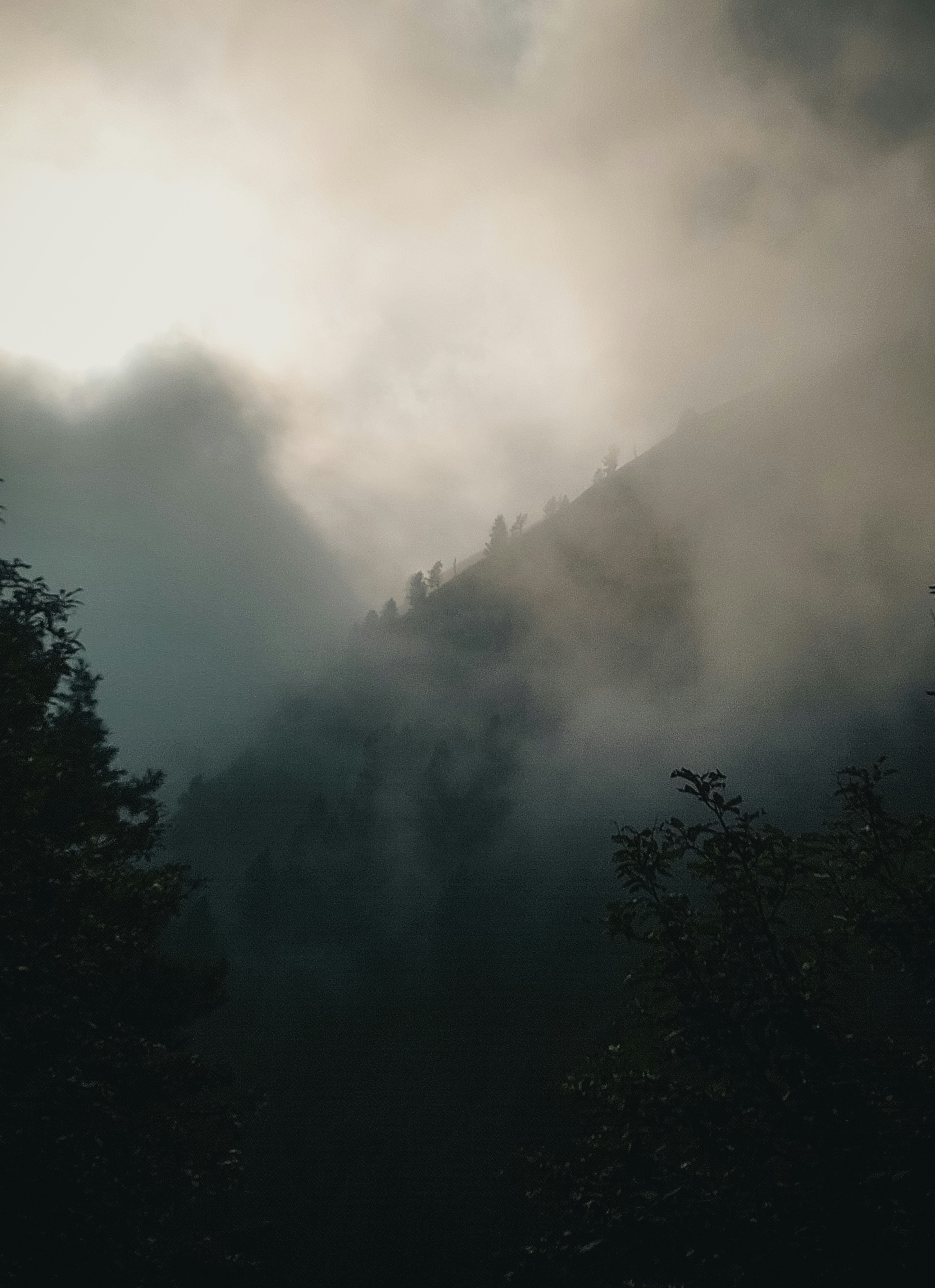 Photo by hassanjavedd