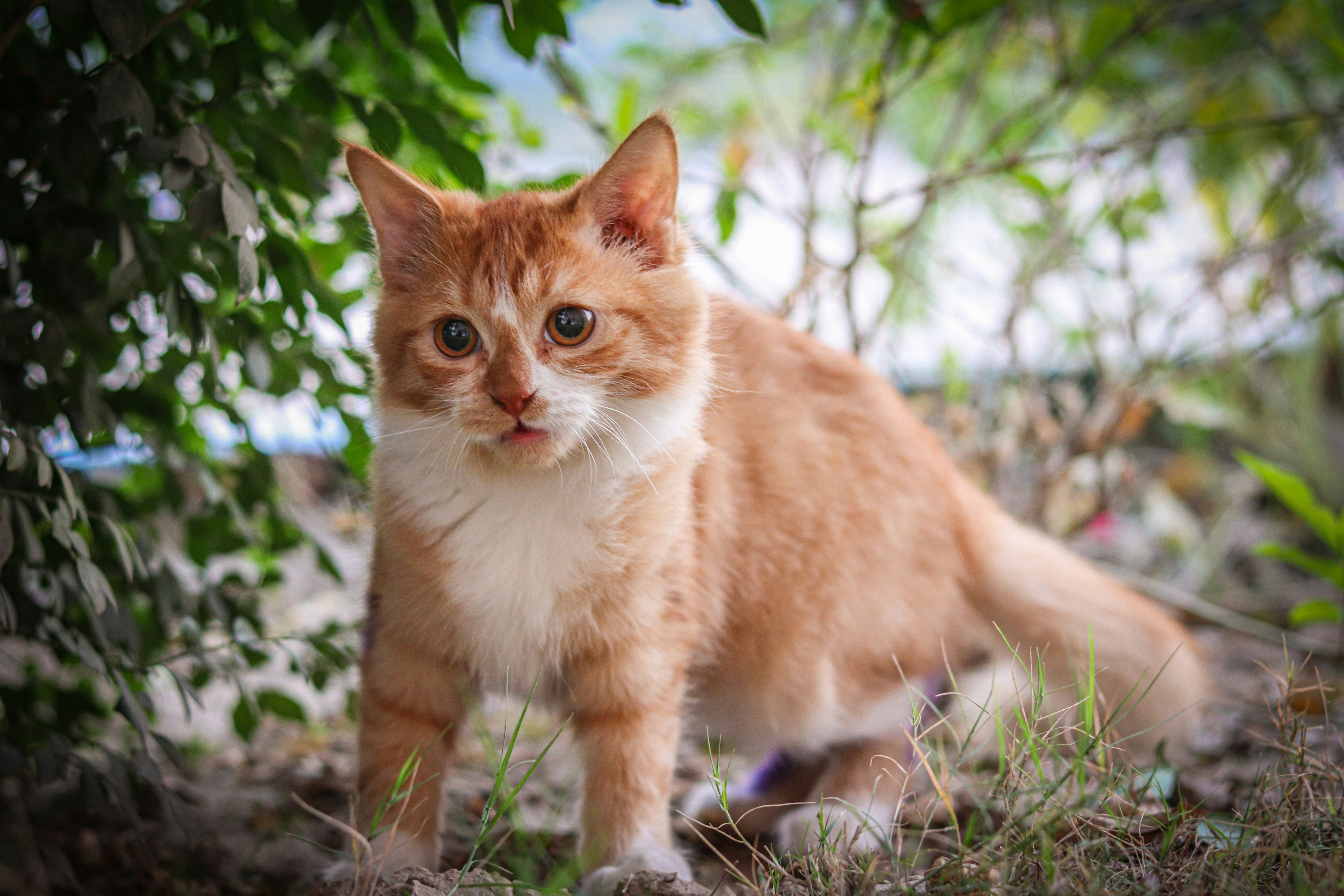 Photo by arslanashiq111