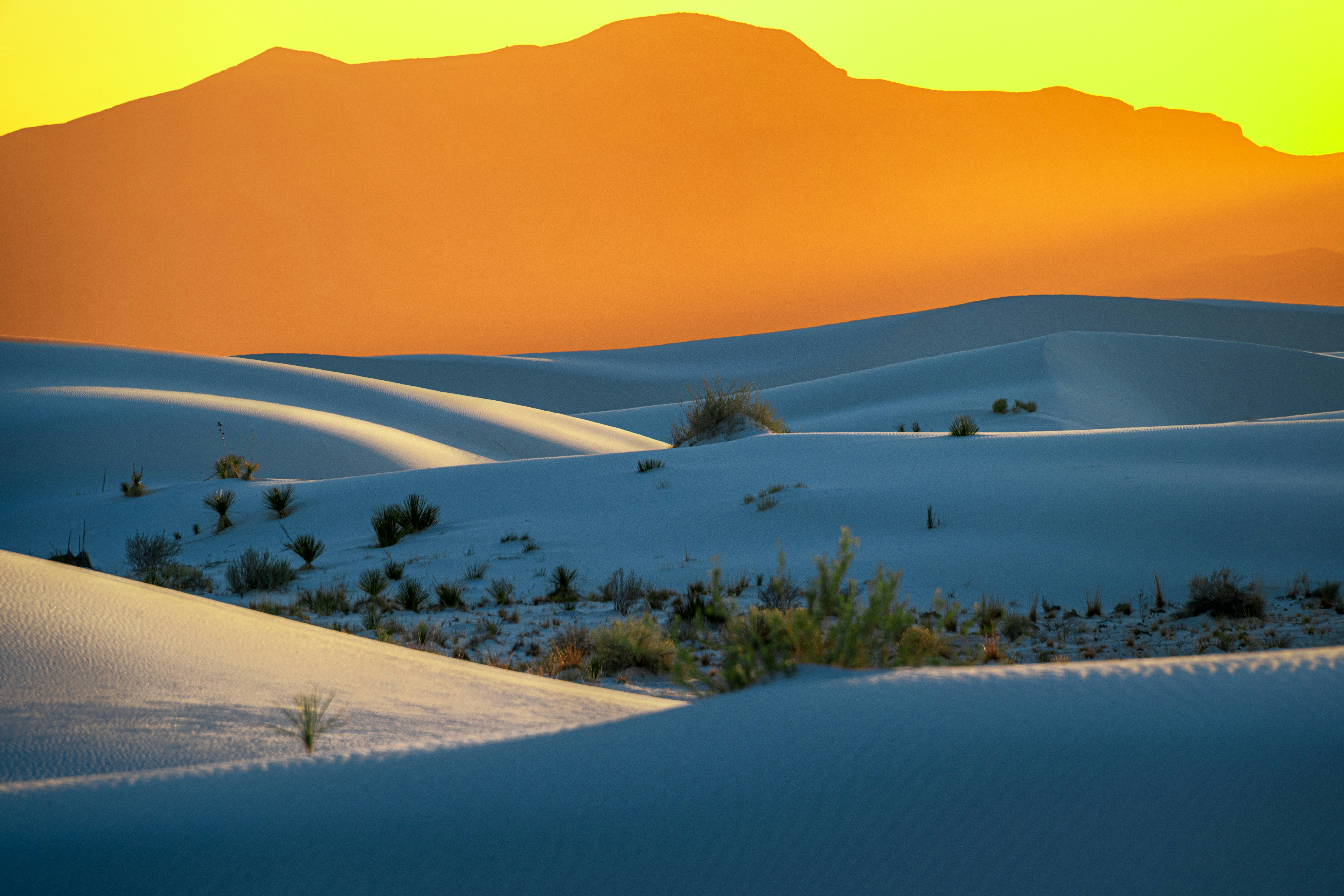 Featured image of post superpowers