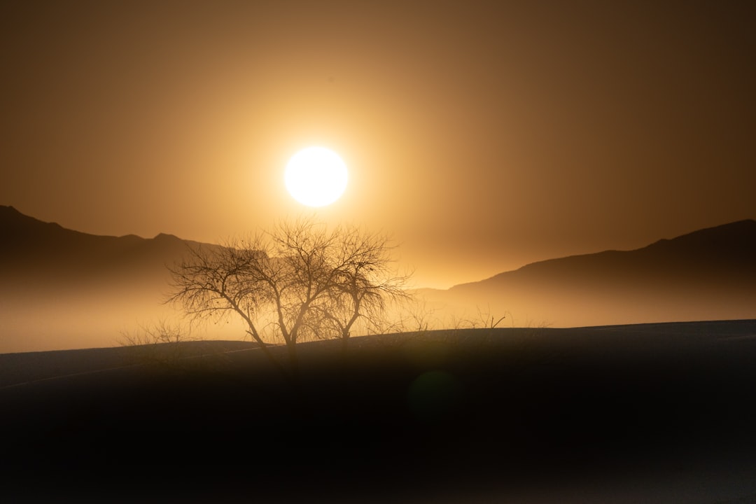a lone tree in the middle of a foggy field, A mesmerizing sunset over White Sands National Park with a silhouette of a b