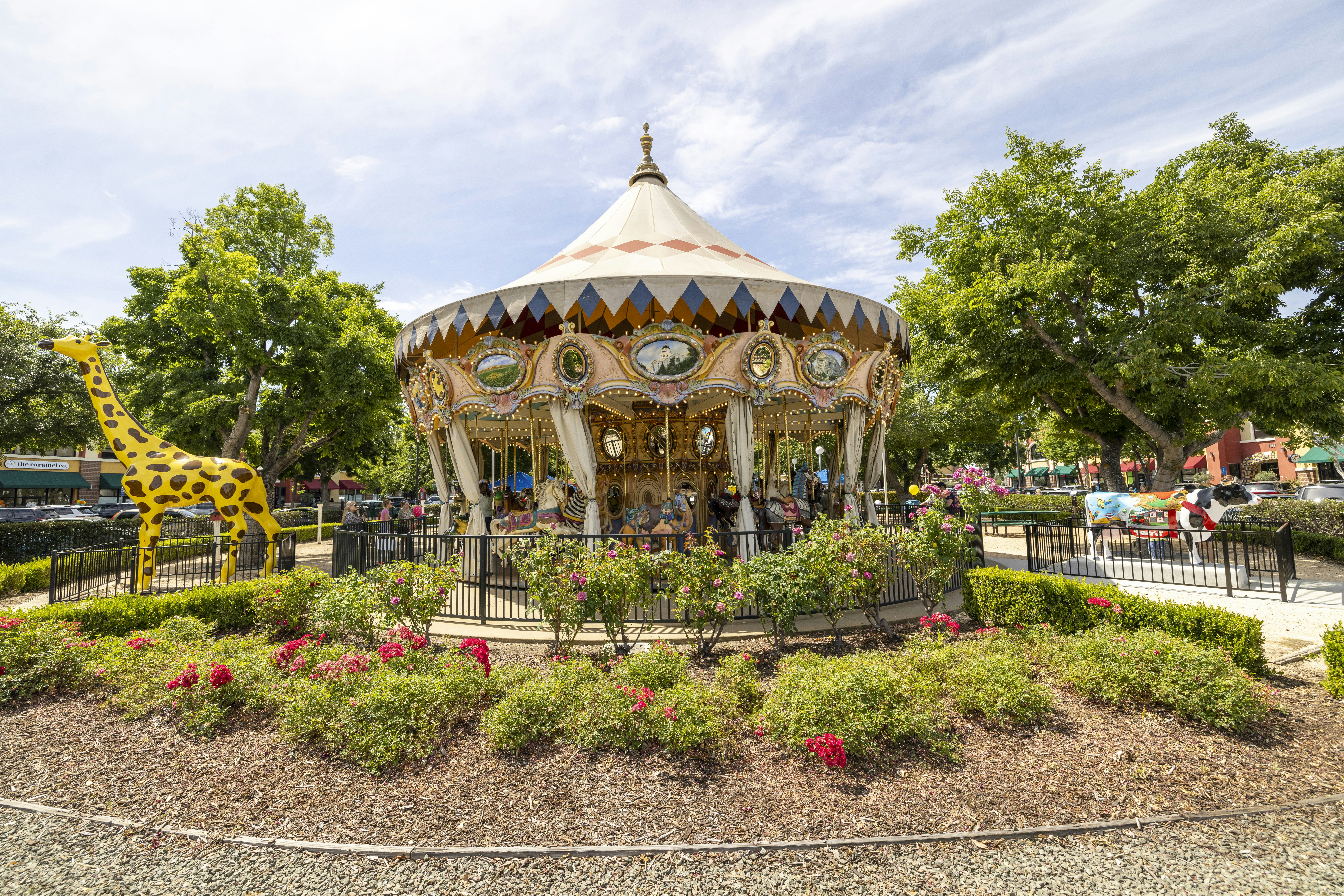 Photo by leo_visions_