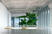 a large plant in a large room with lots of windows