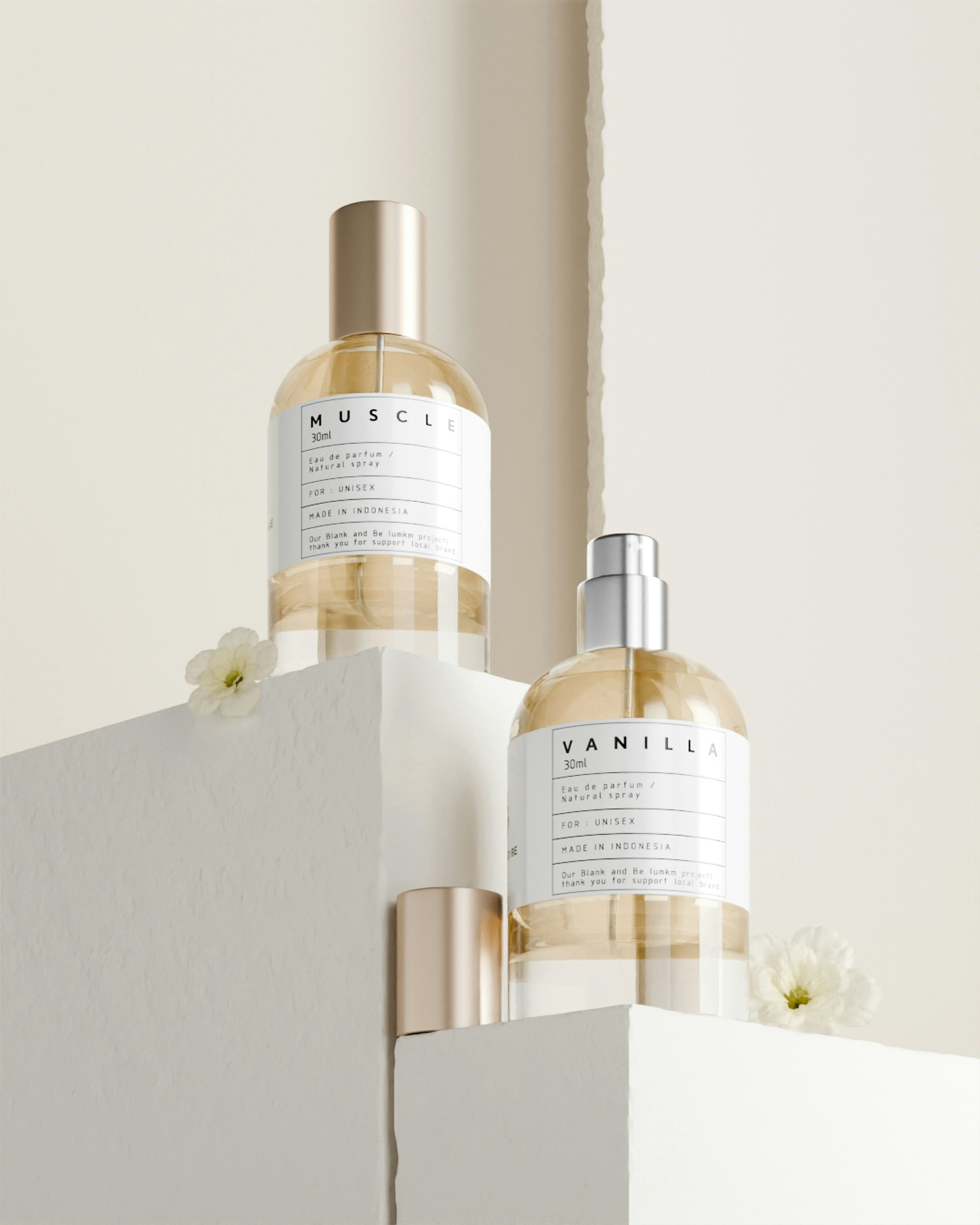 Assessing the Value of Intentions: Was This Gift a Misstep or a Misunderstanding?