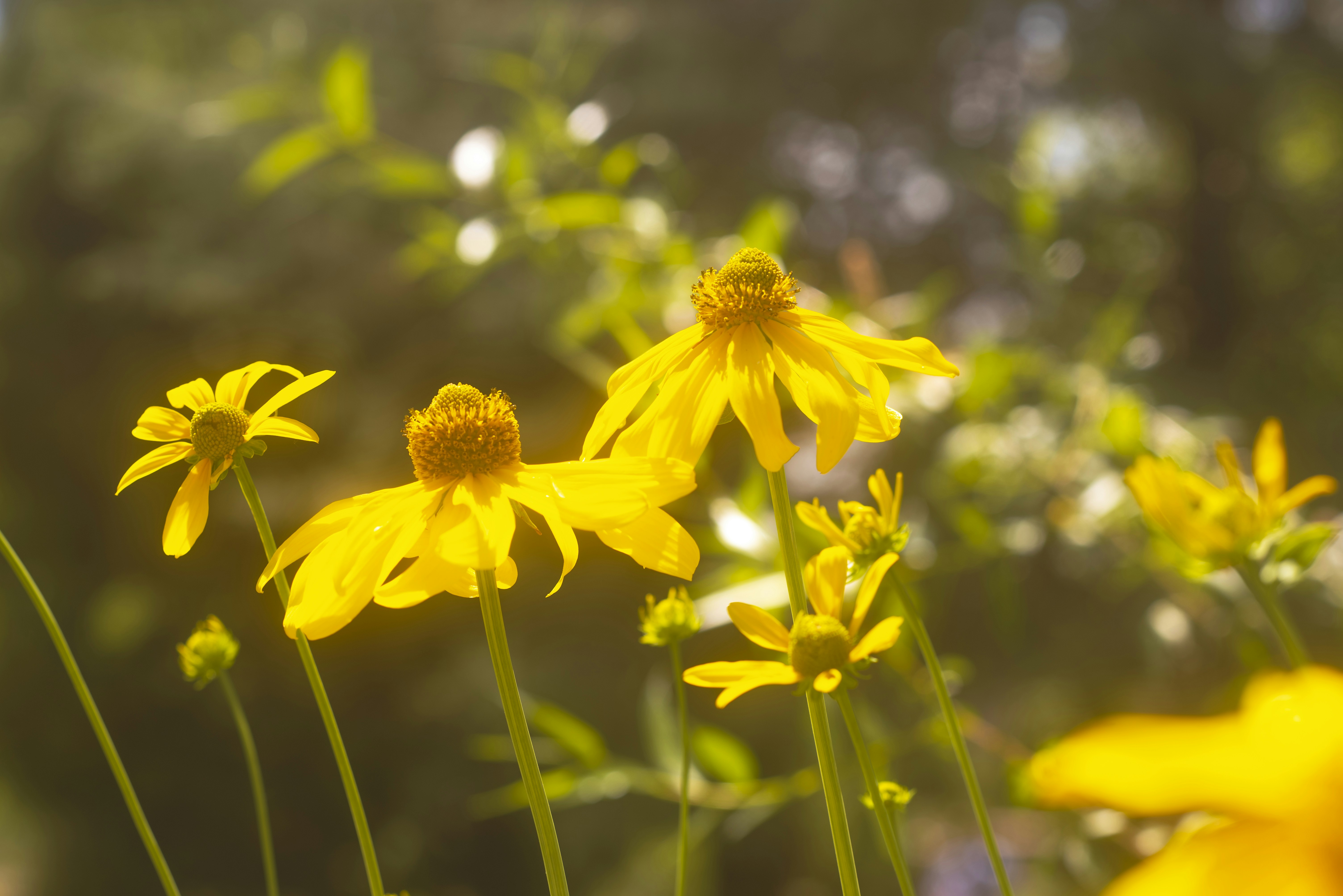 Photo by tayannphoto