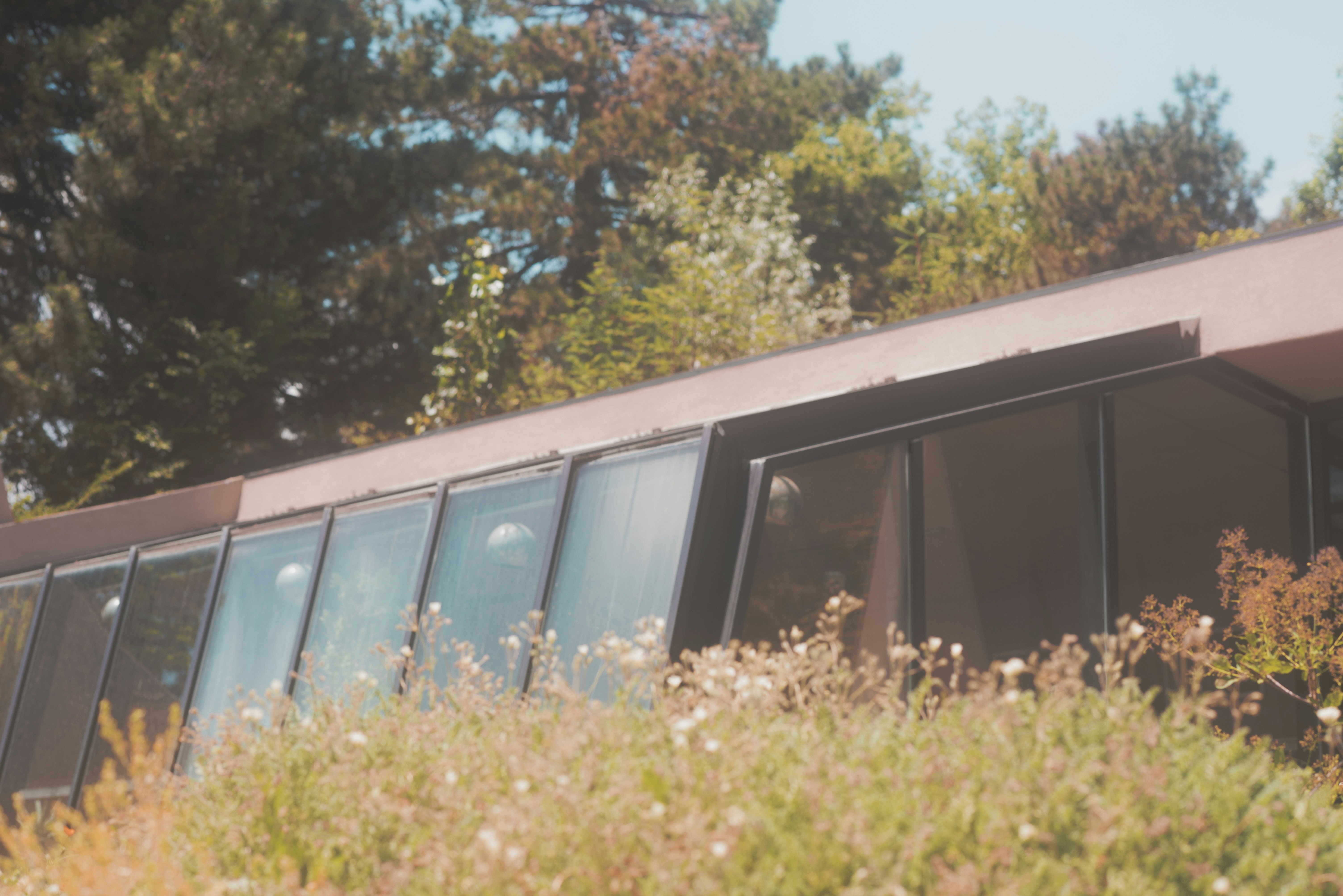 Photo by tayannphoto