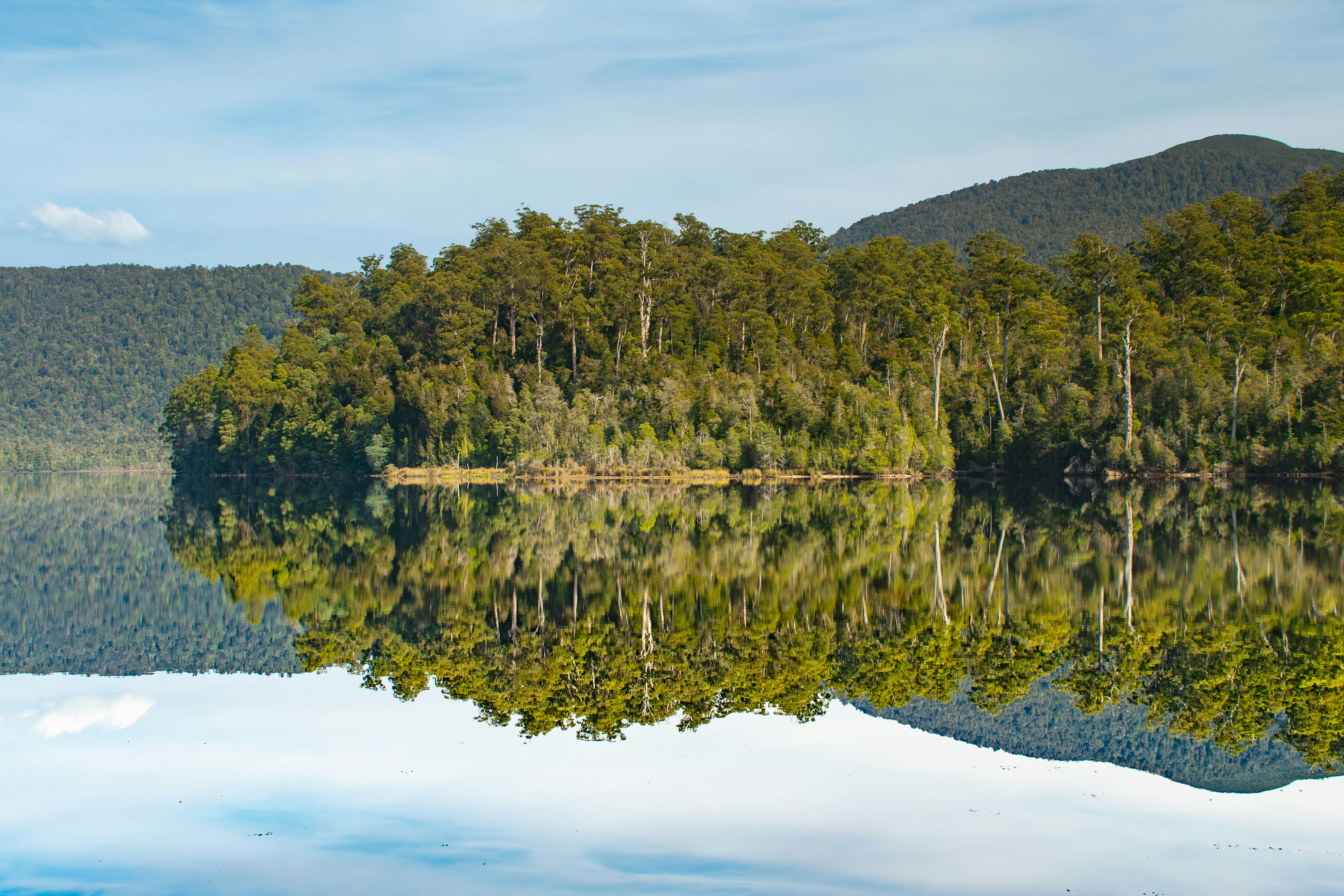 Photo by photosbyrachelo