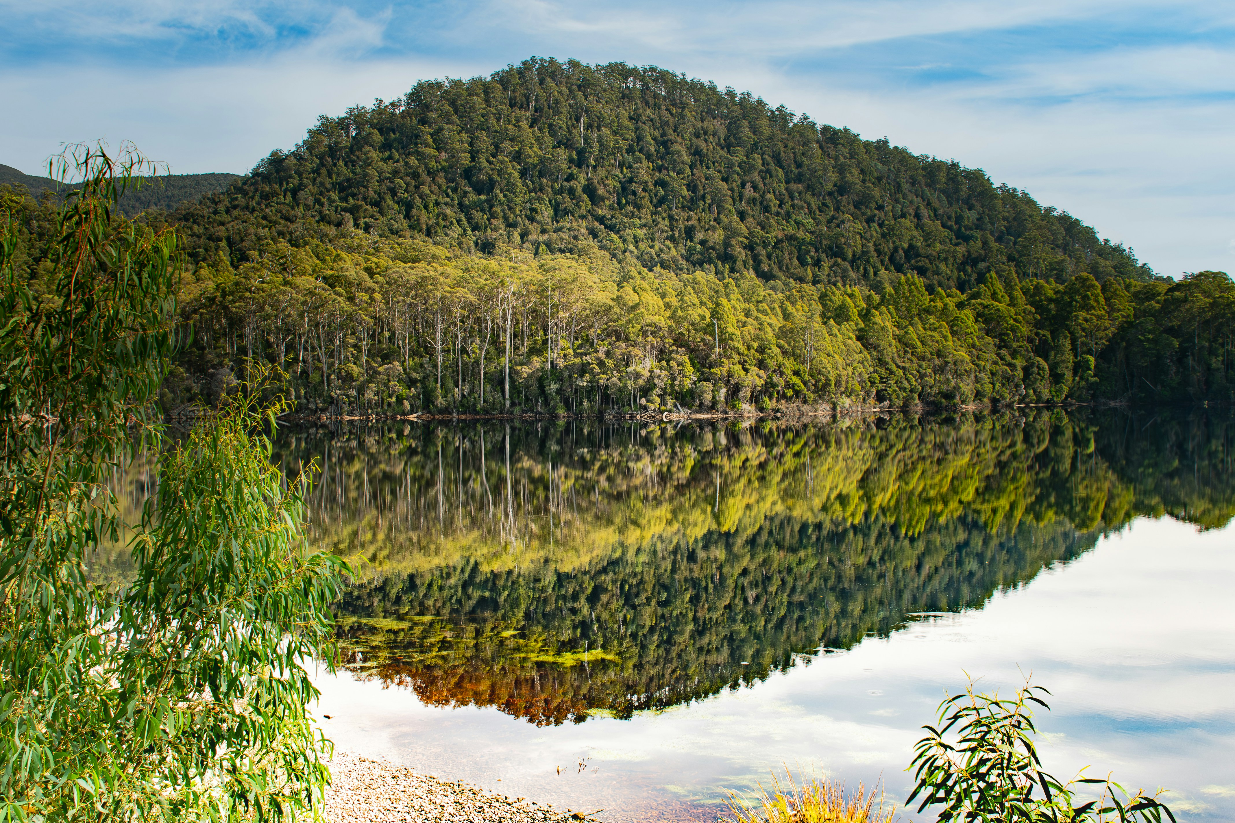 Photo by photosbyrachelo